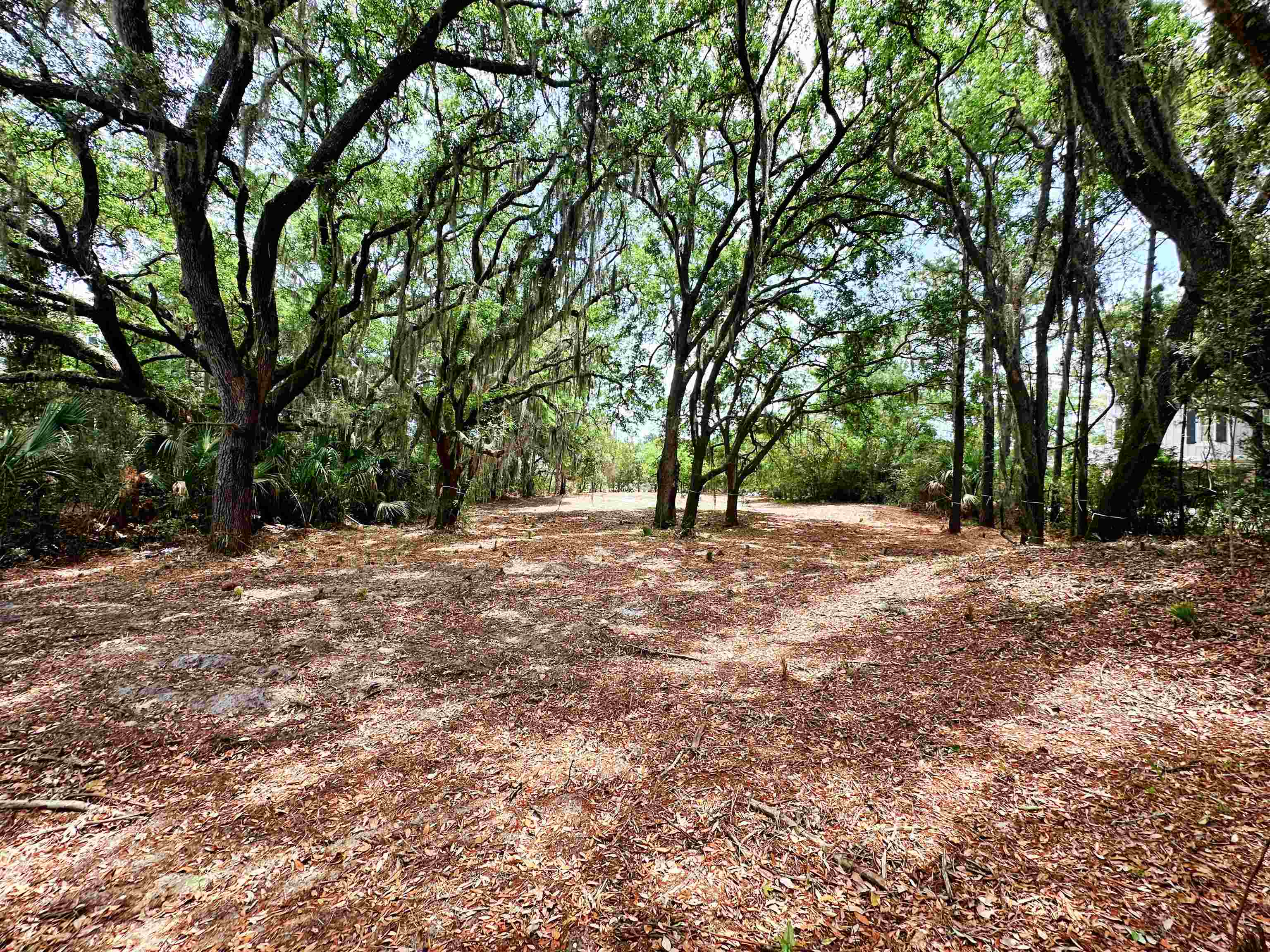34 Dune Oaks Dr. Property Photo 3