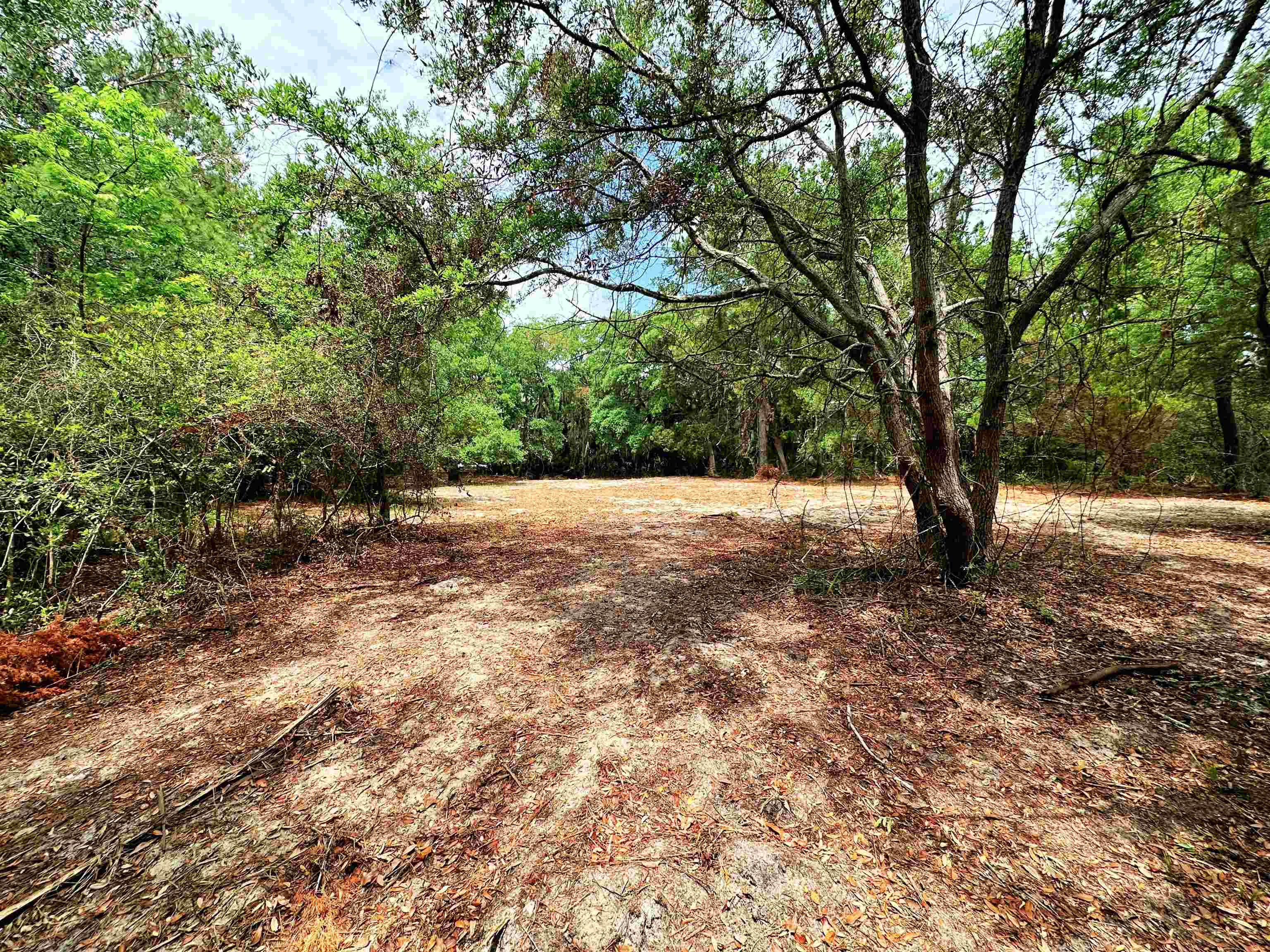 34 Dune Oaks Dr. Property Photo 4