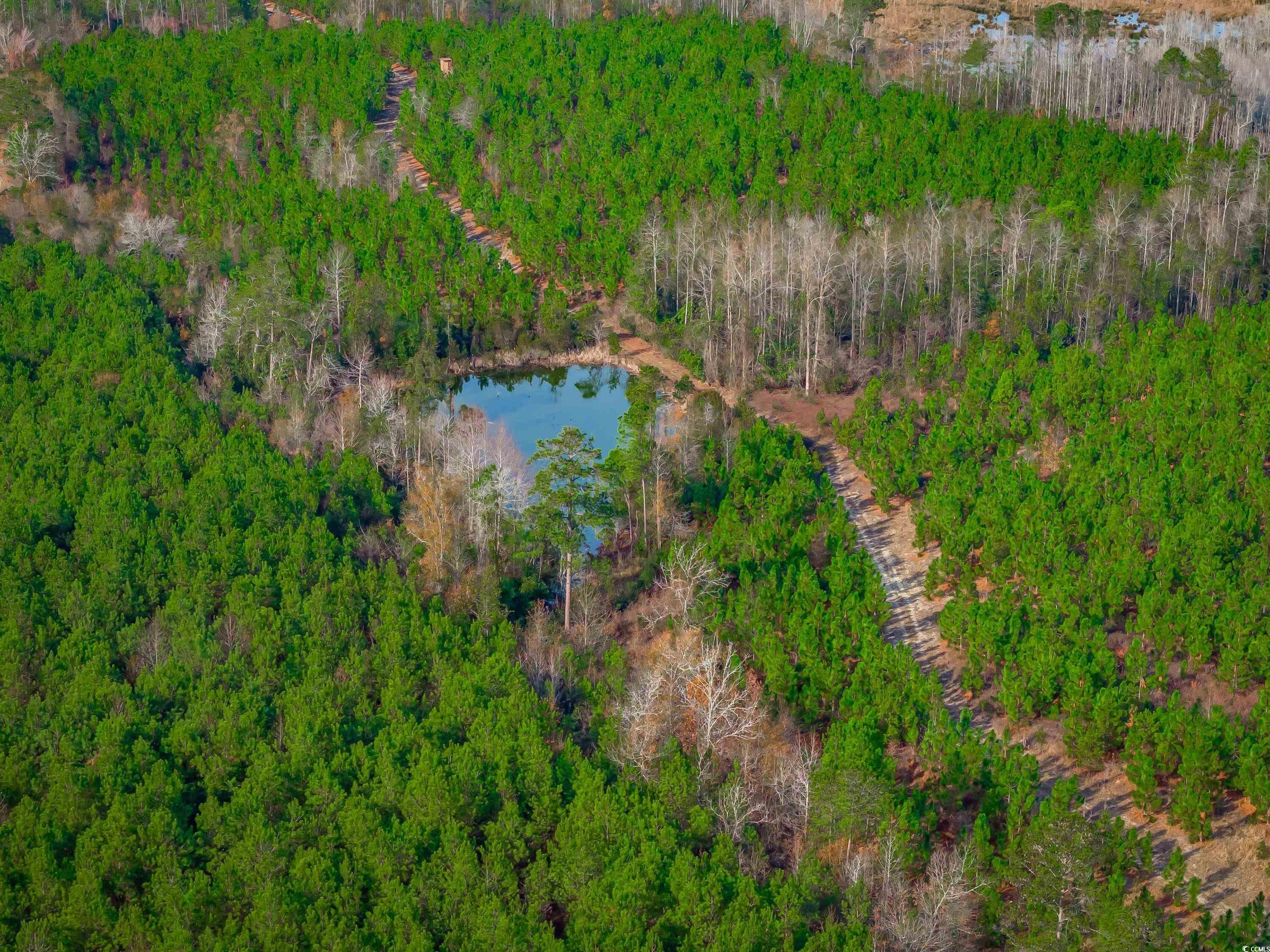 Mckays Bridge Rd. Property Photo 8