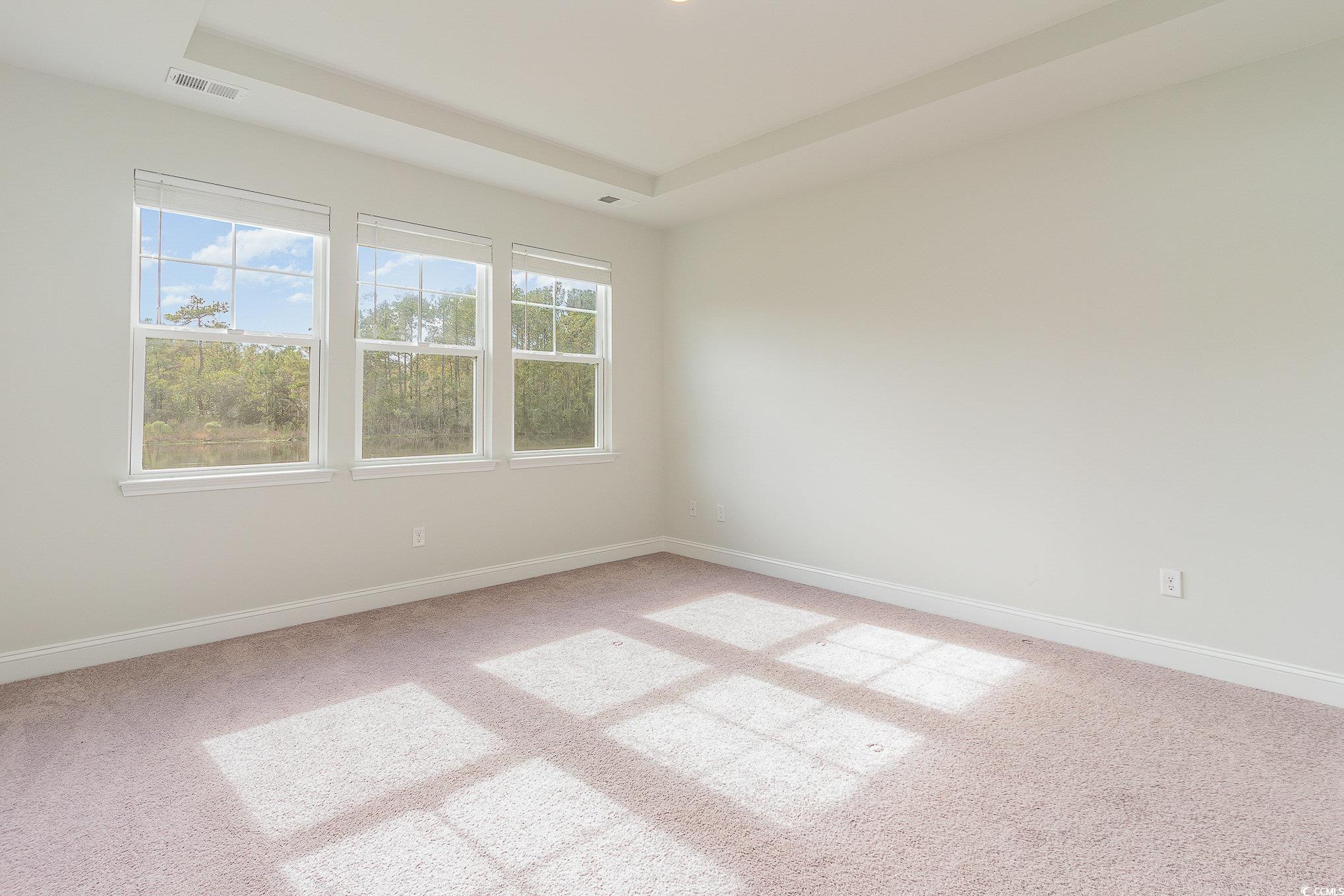 808 Flowering Branch Ave. Property Photo 19