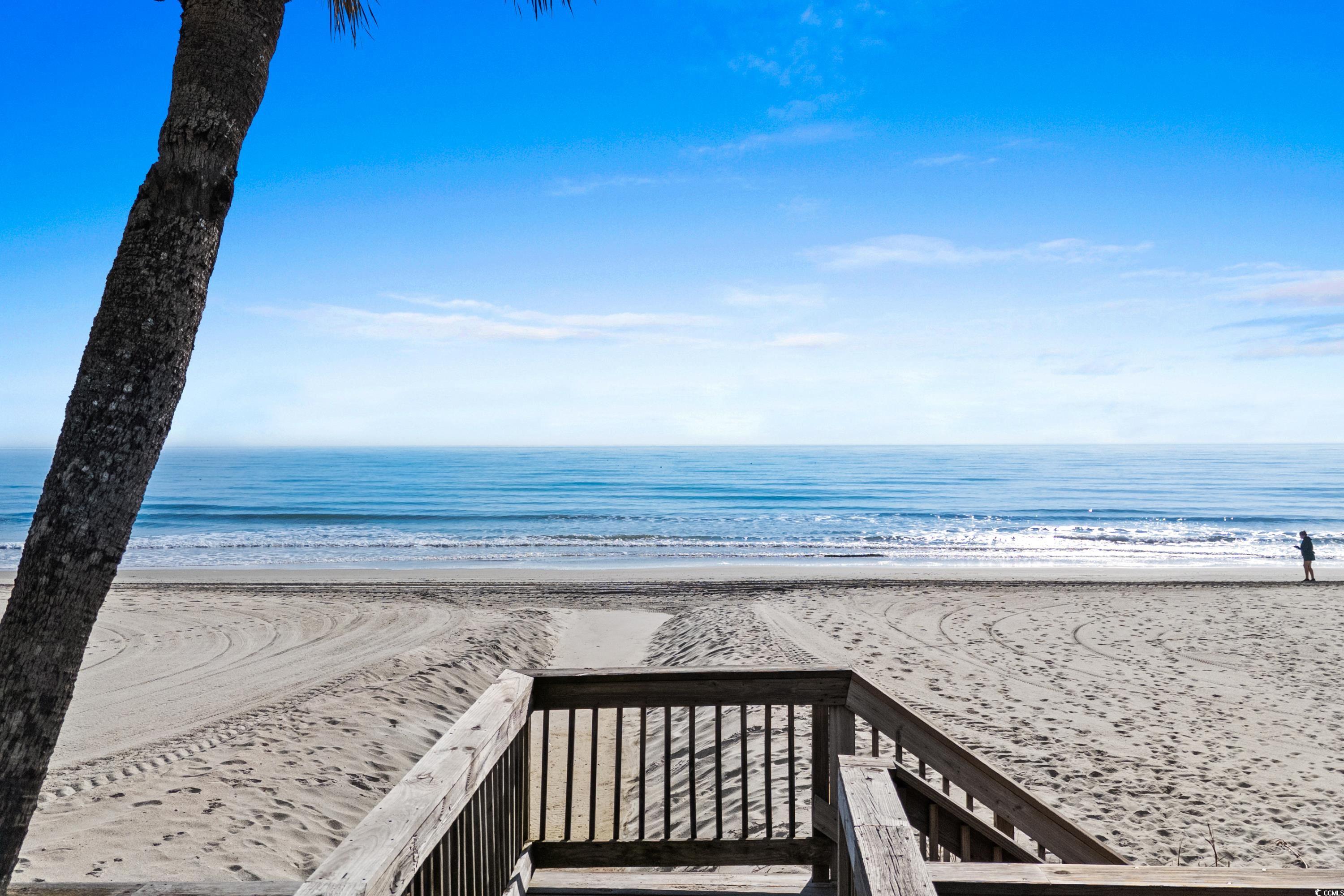 10100 Beach Club Dr. Property Photo 29