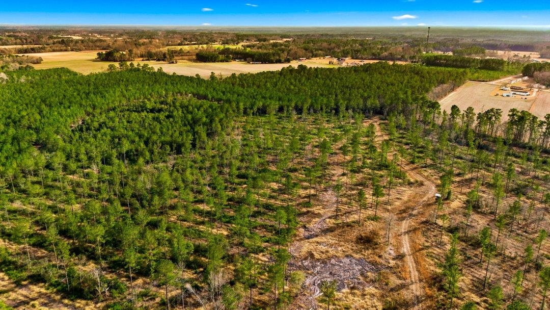 Acreage Highway 45 Property Photo 3