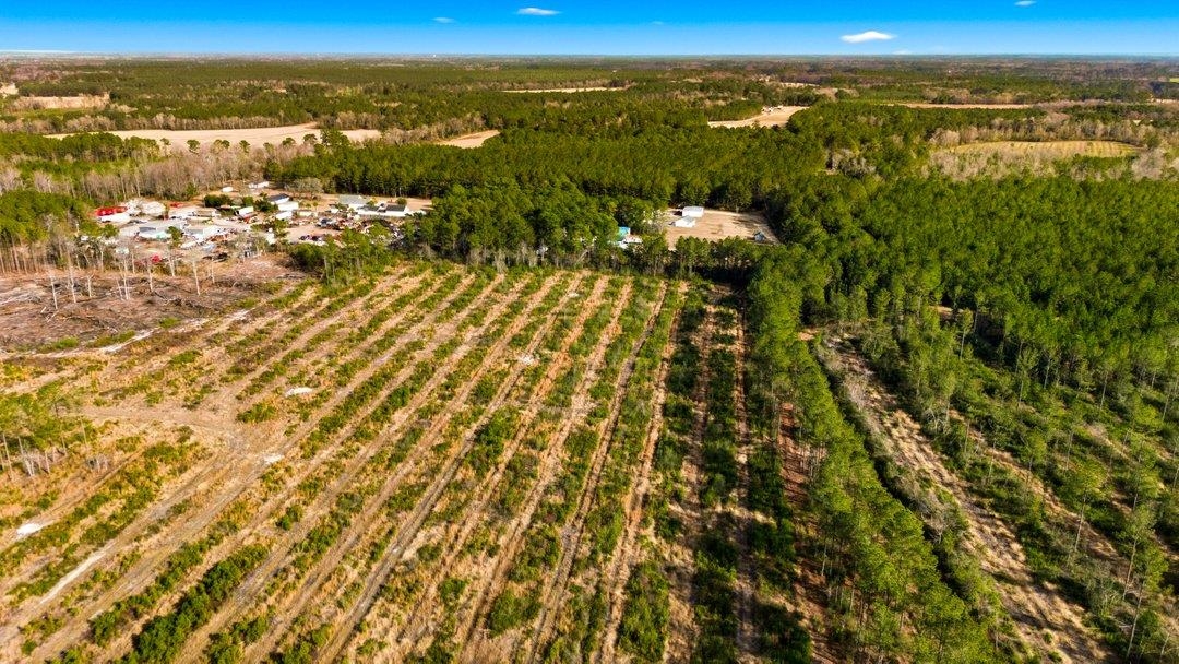 Acreage Highway 45 Property Photo 4