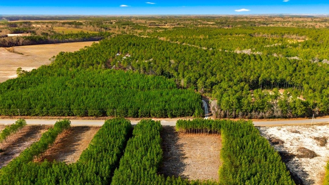 Acreage Highway 45 Property Photo 6