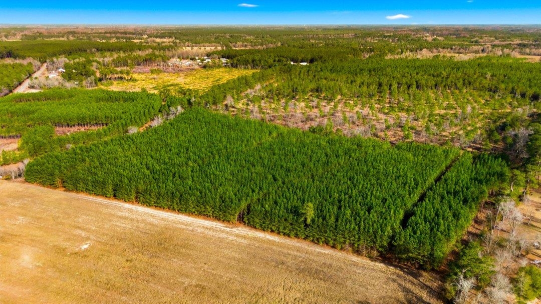 Acreage Highway 45 Property Photo 8