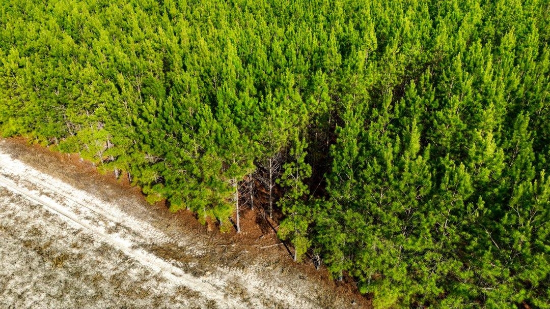 Acreage Highway 45 Property Photo 9