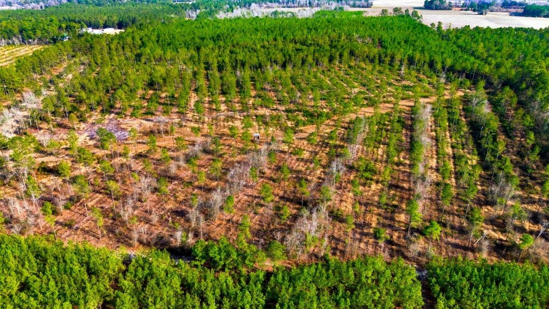 Acreage Highway 45 Property Photo 11