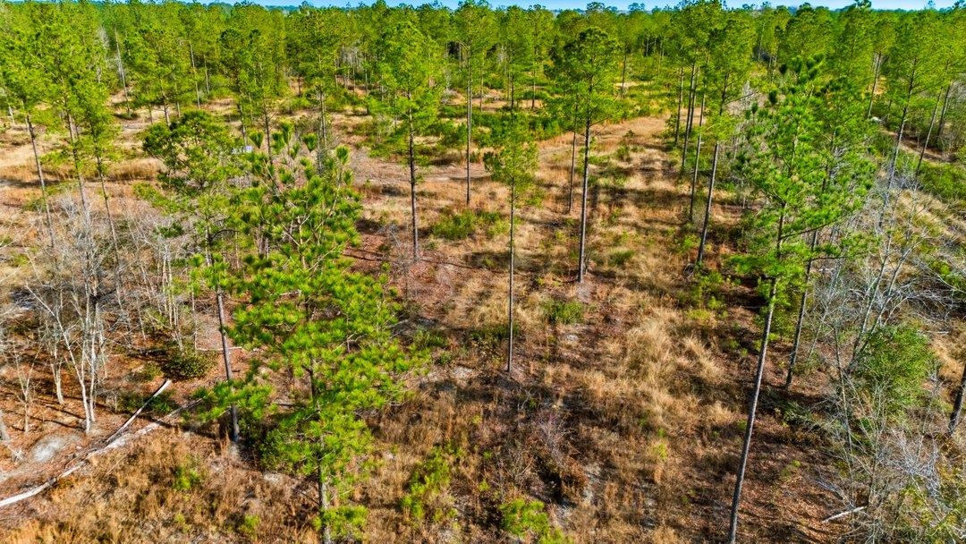 Acreage Highway 45 Property Photo 12
