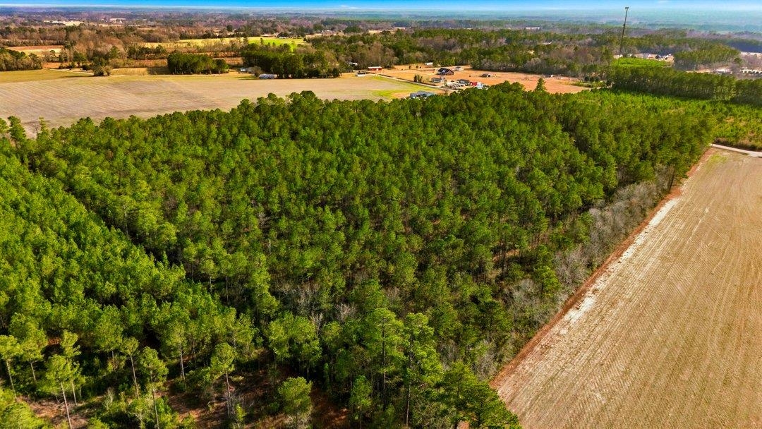 Acreage Highway 45 Property Photo 13