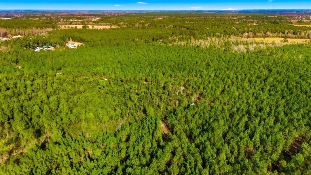 Acreage Highway 45 Property Photo 15