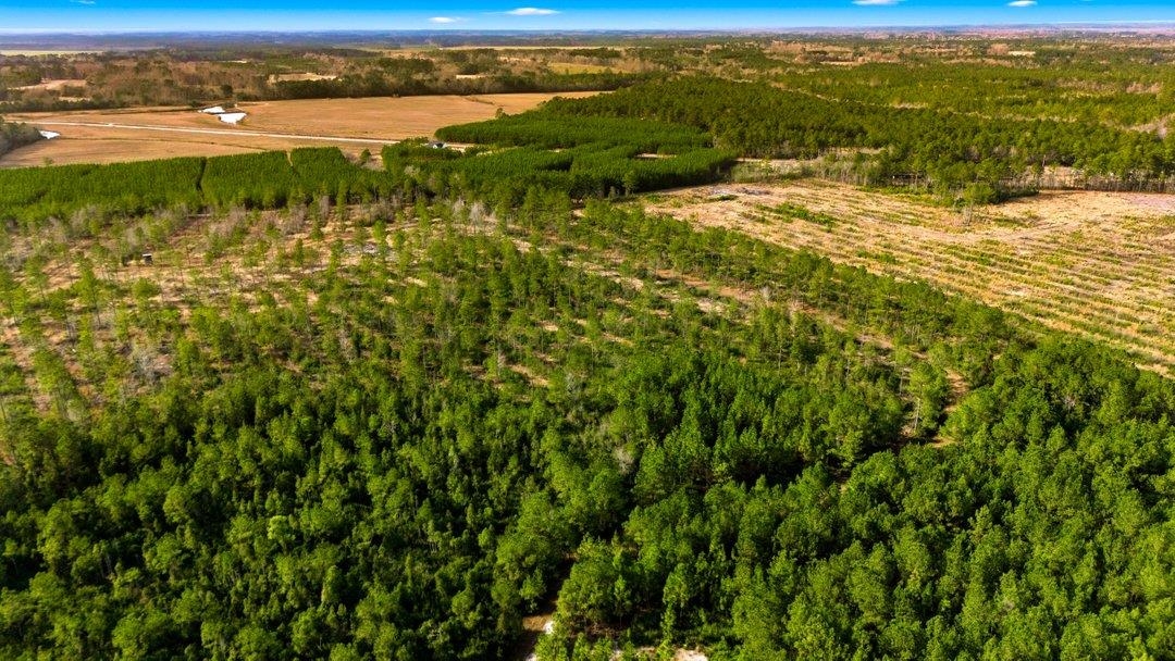 Acreage Highway 45 Property Photo 17