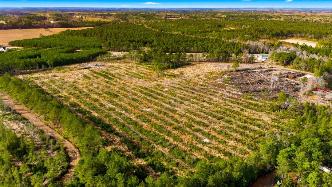 Acreage Highway 45 Property Photo 18