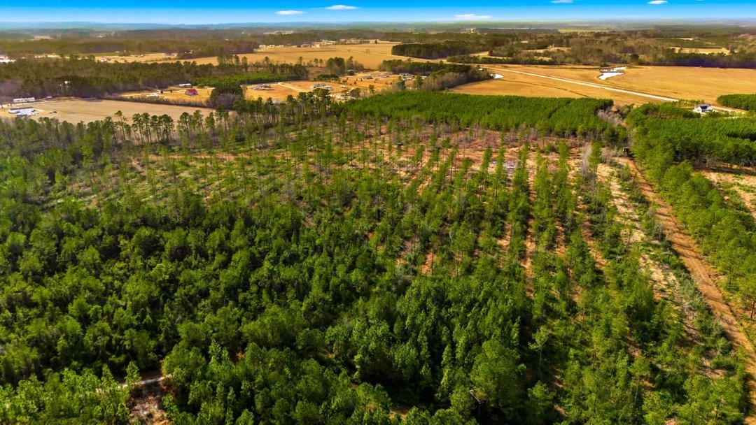 Acreage Highway 45 Property Photo 19