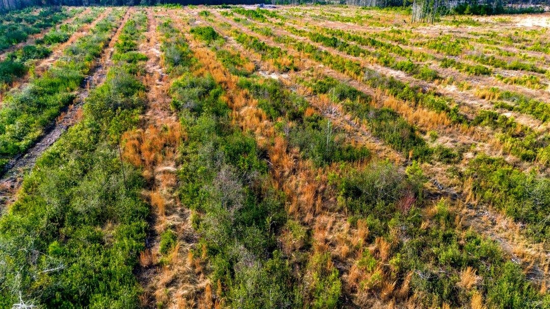 Acreage Highway 45 Property Photo 20