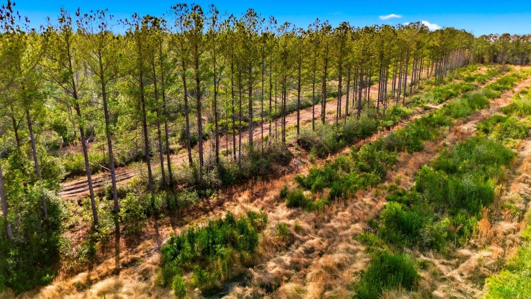 Acreage Highway 45 Property Photo 21