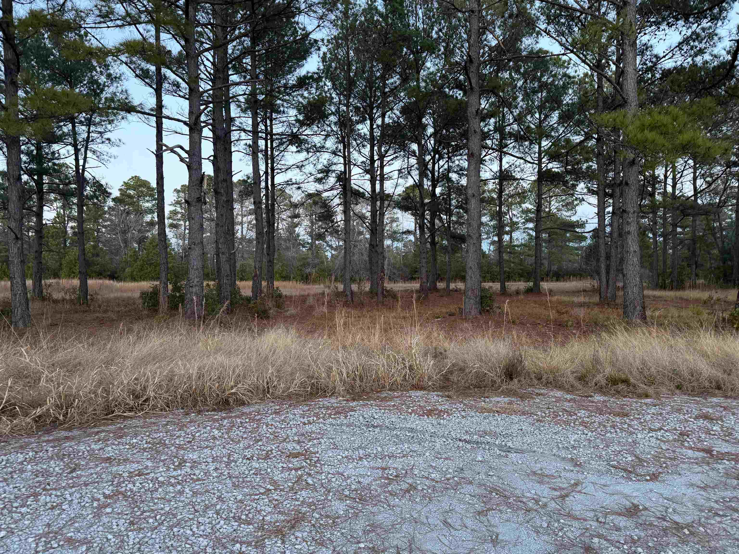 Tbd Belland Ct. Property Photo 3