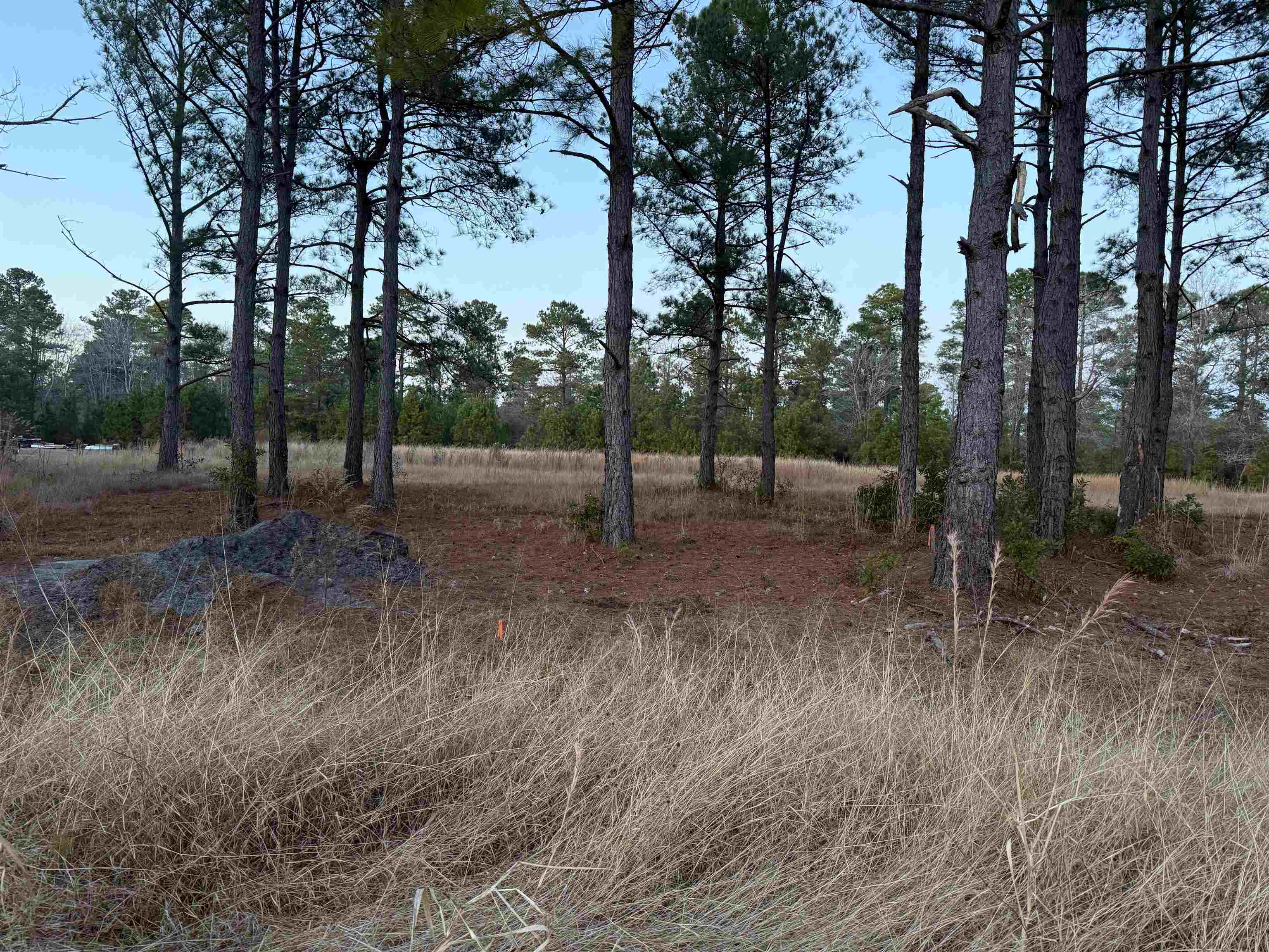 Tbd Belland Ct. Property Photo 4