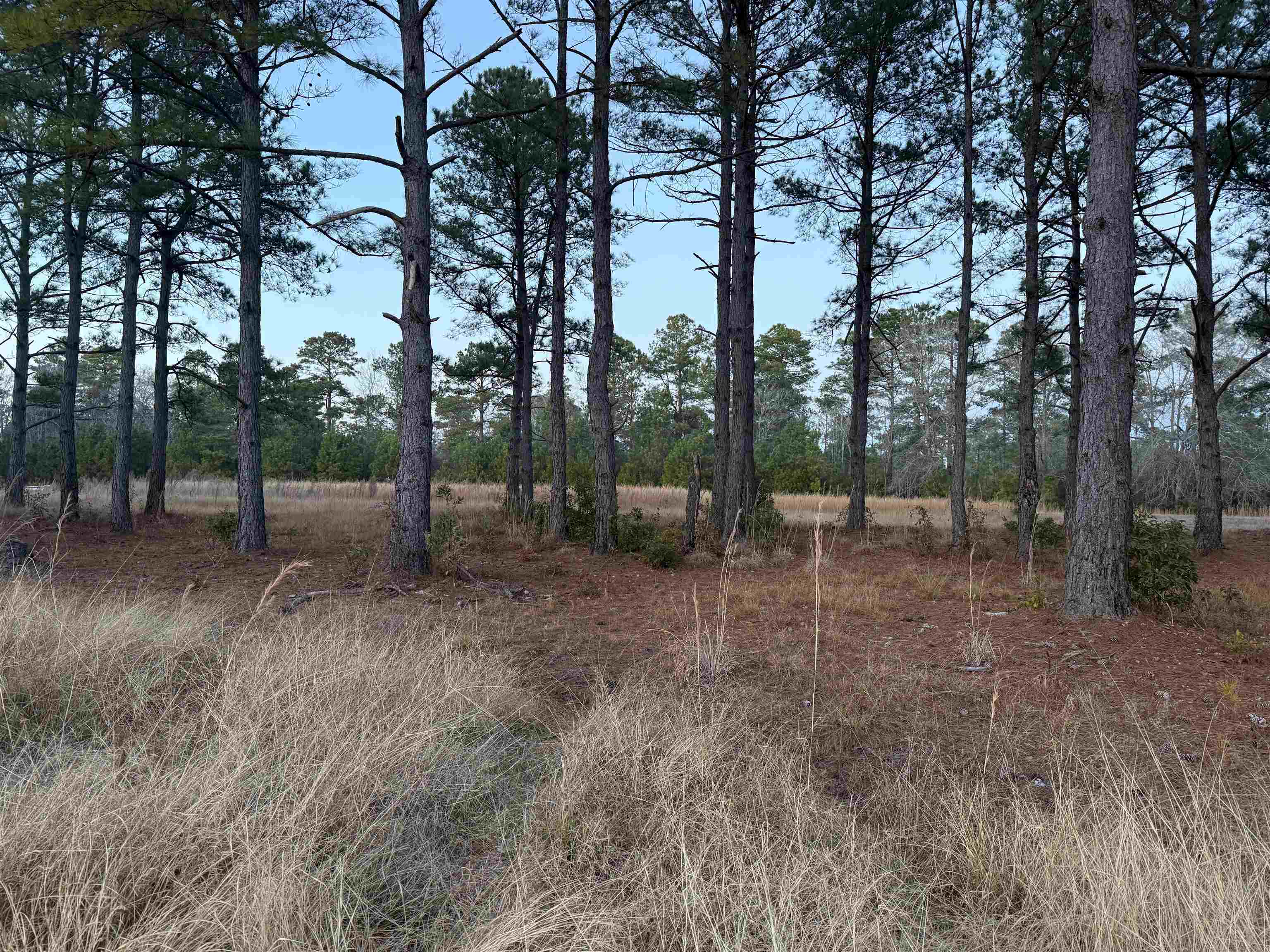 Tbd Belland Ct. Property Photo 5