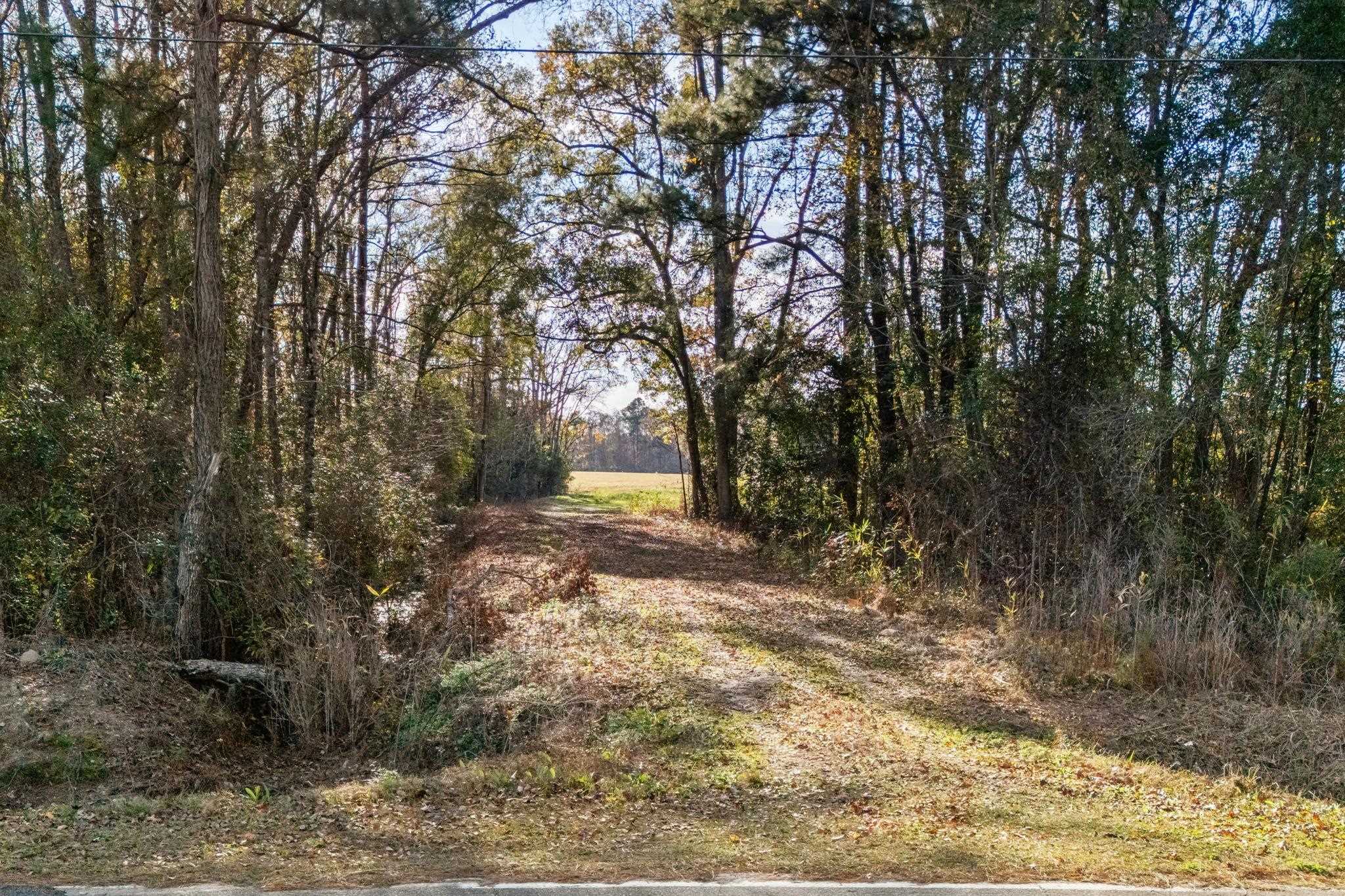 Tbd S Little Lamb Rd. Property Photo 12
