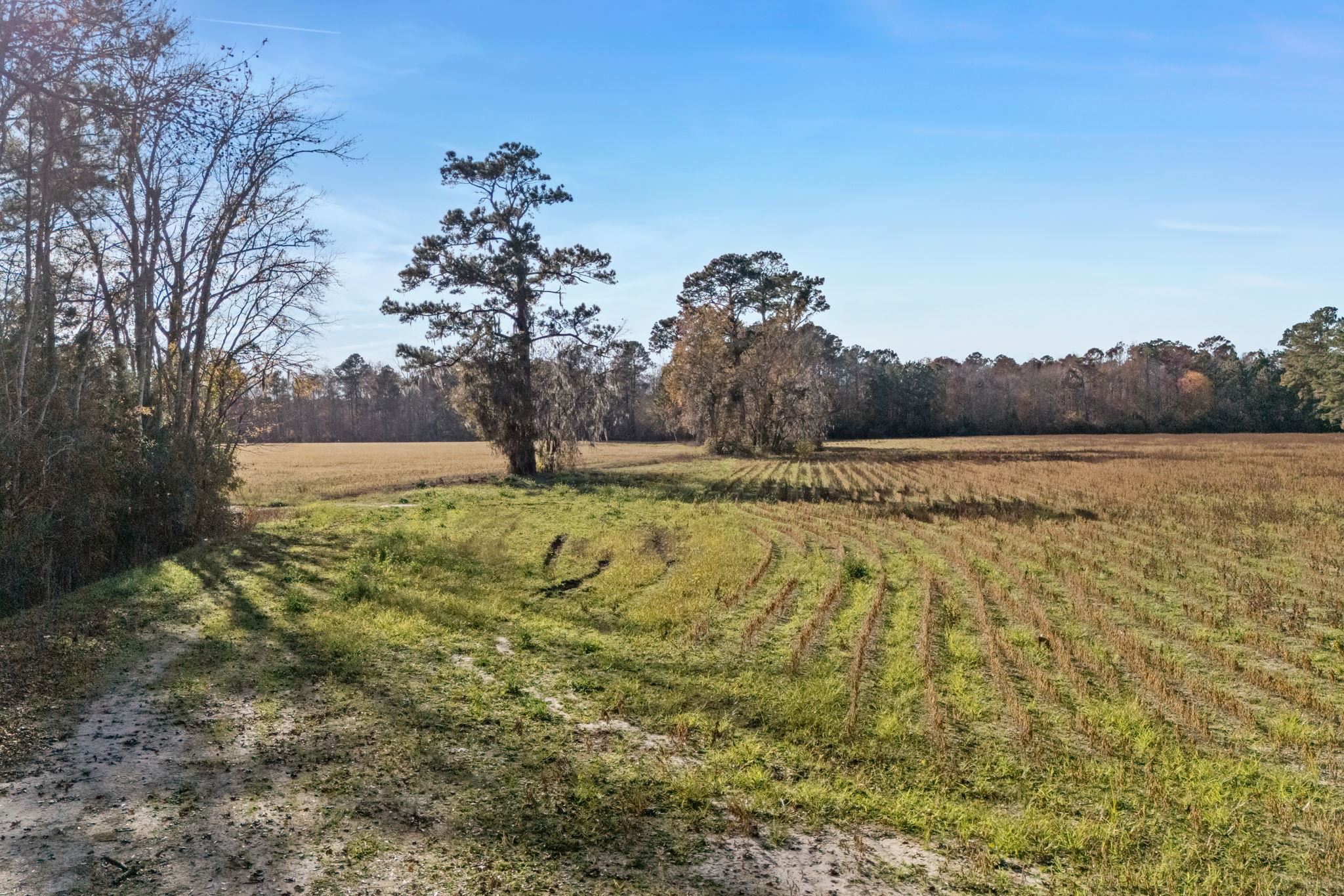 Tbd S Little Lamb Rd. Property Photo 13