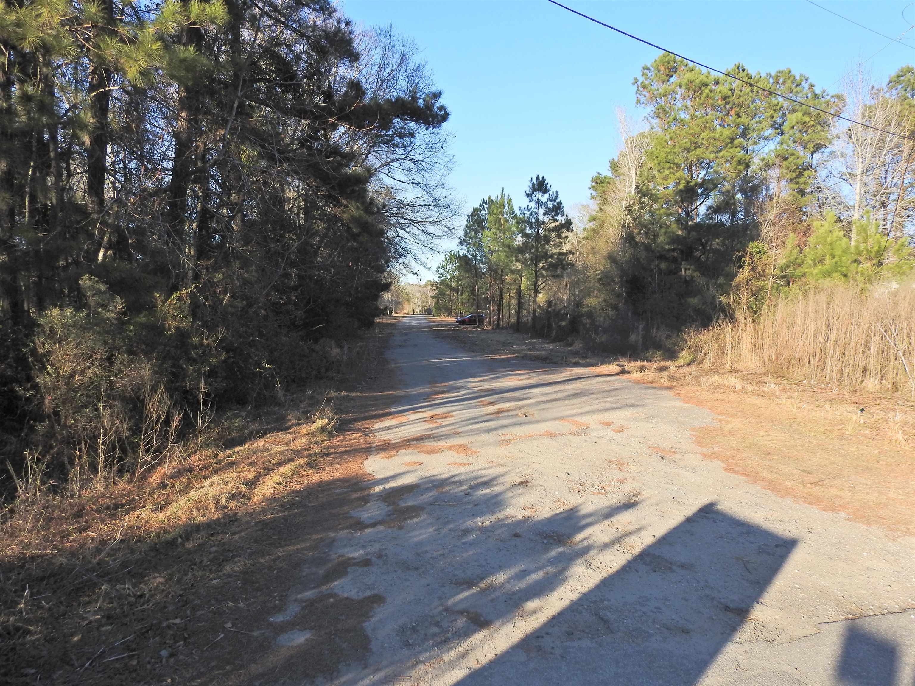 301 Bella Rd. Property Photo 3