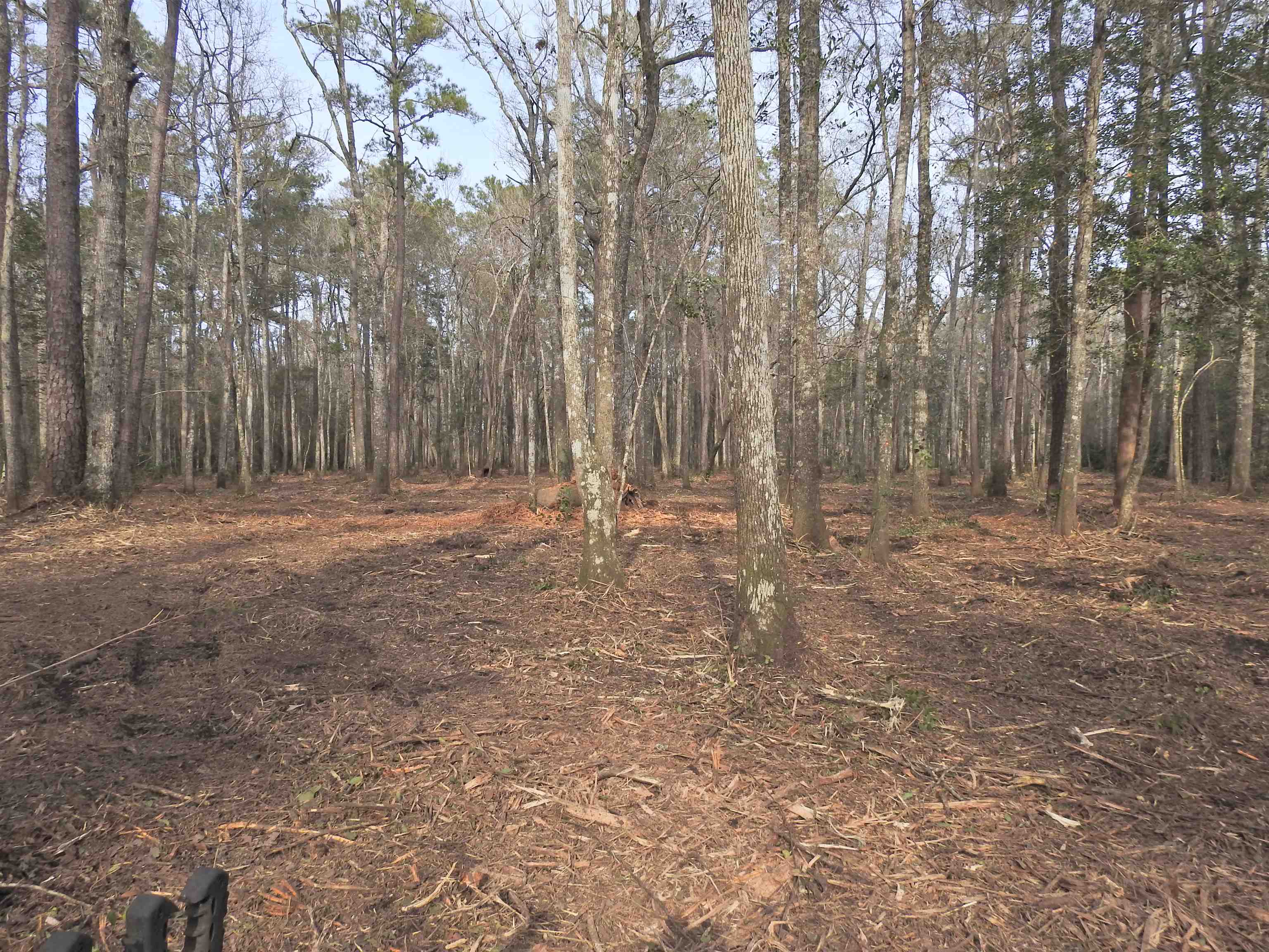 301 Bella Rd. Property Photo 4