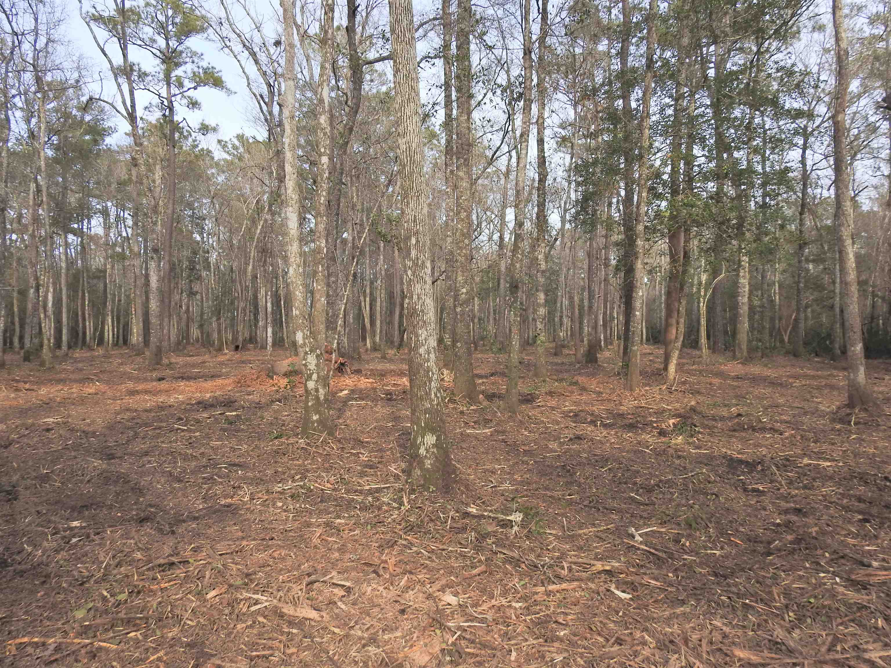 301 Bella Rd. Property Photo 5