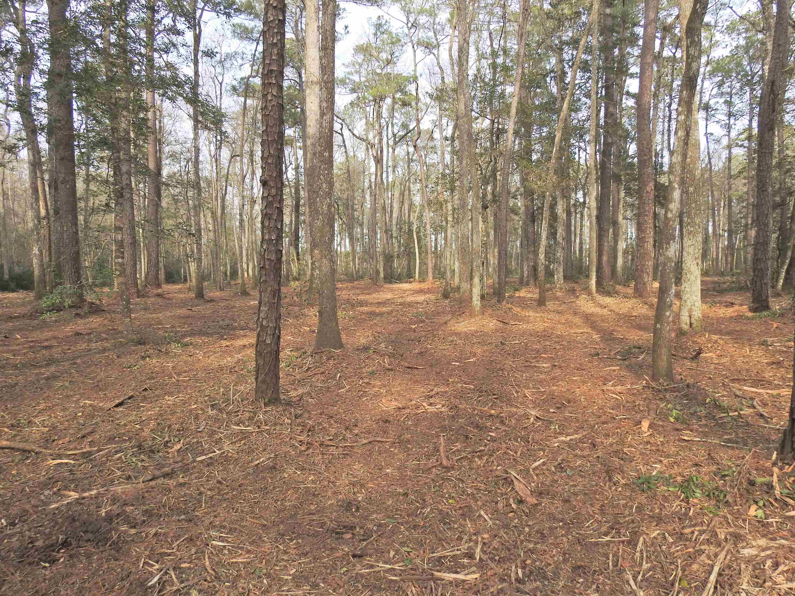 301 Bella Rd. Property Photo 9