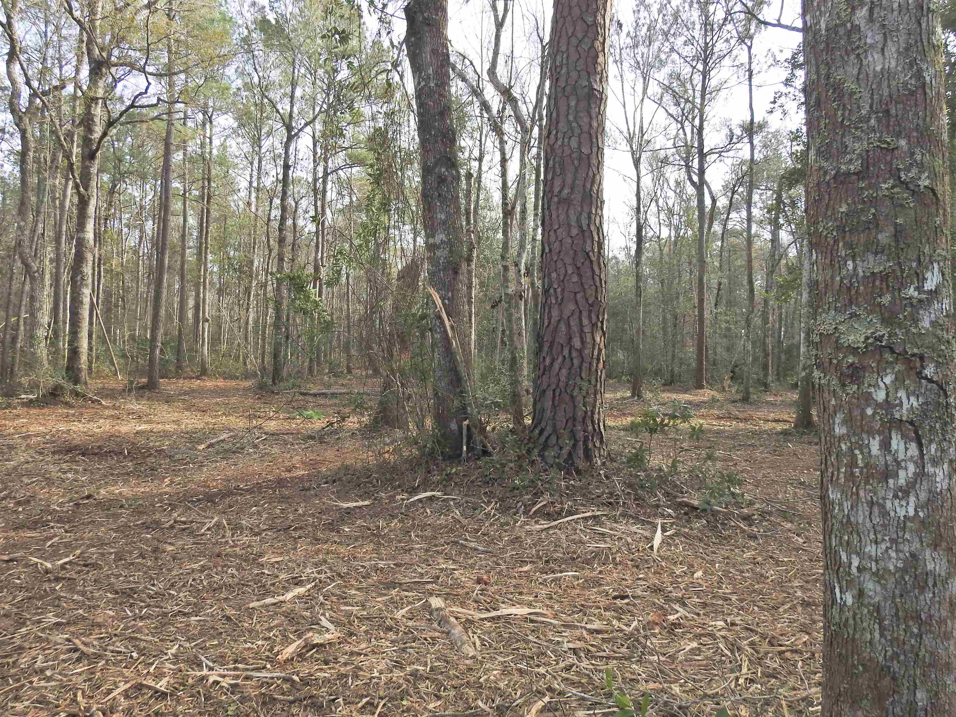 301 Bella Rd. Property Photo 13