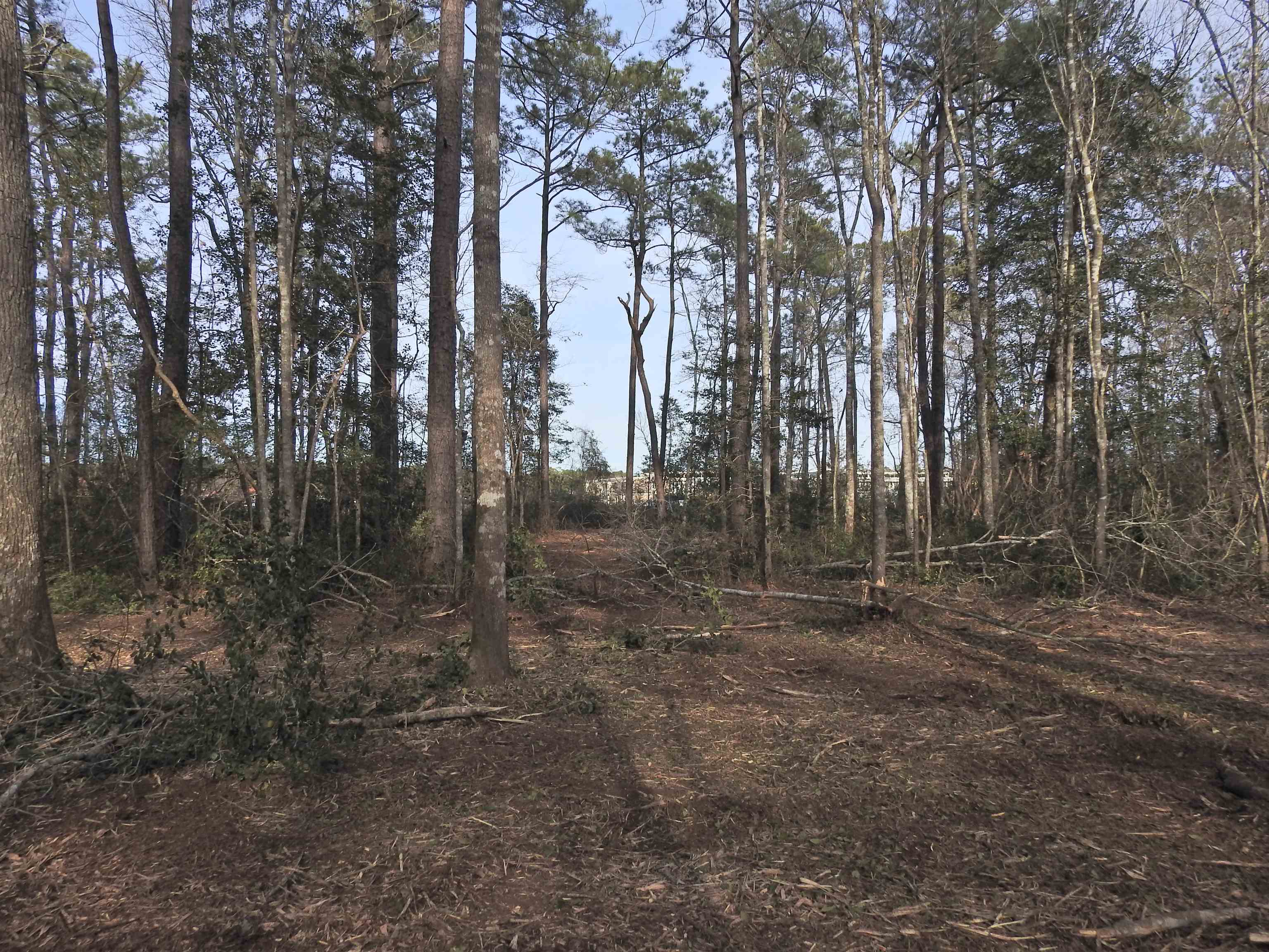 301 Bella Rd. Property Photo 14