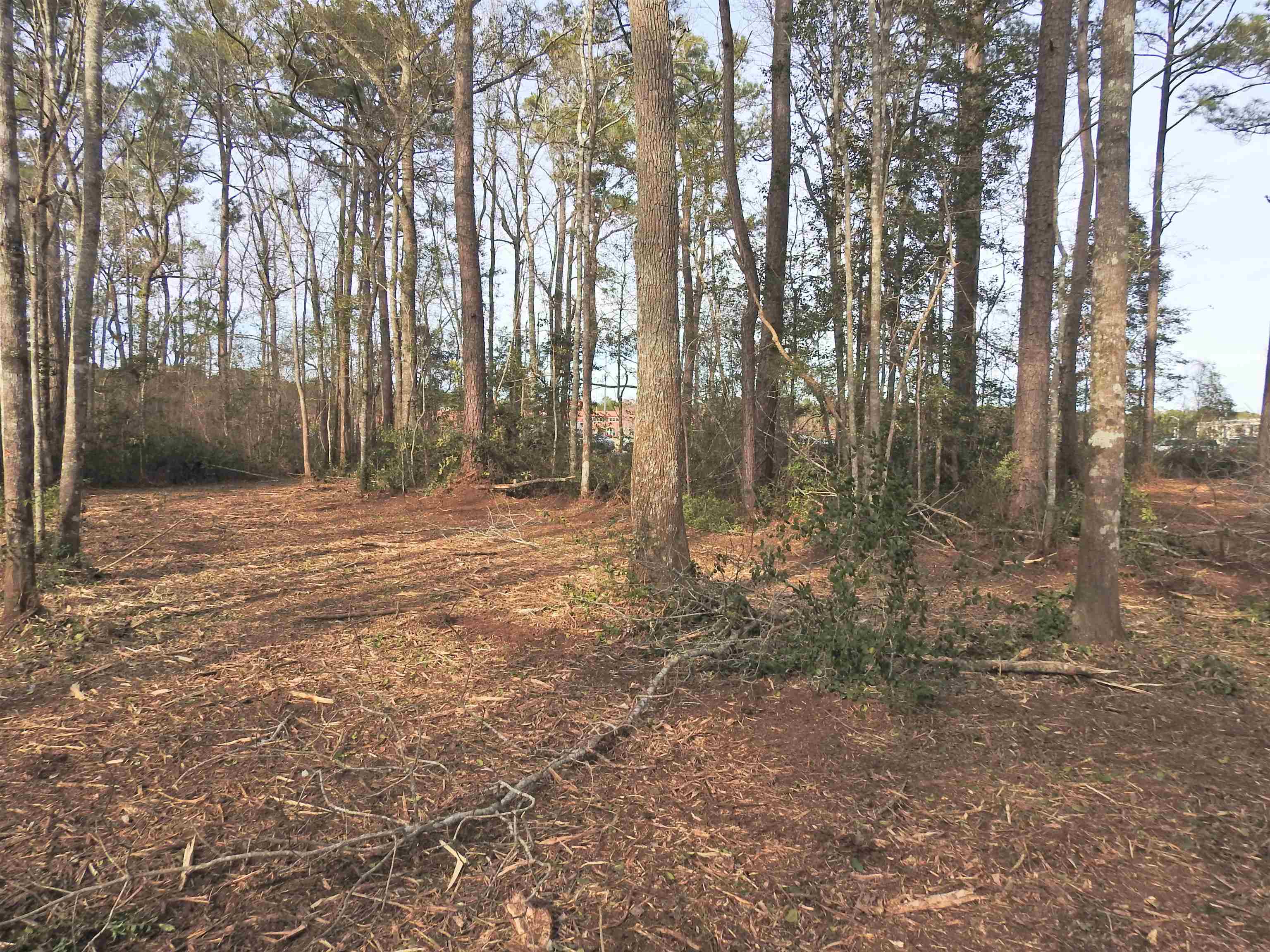 301 Bella Rd. Property Photo 15