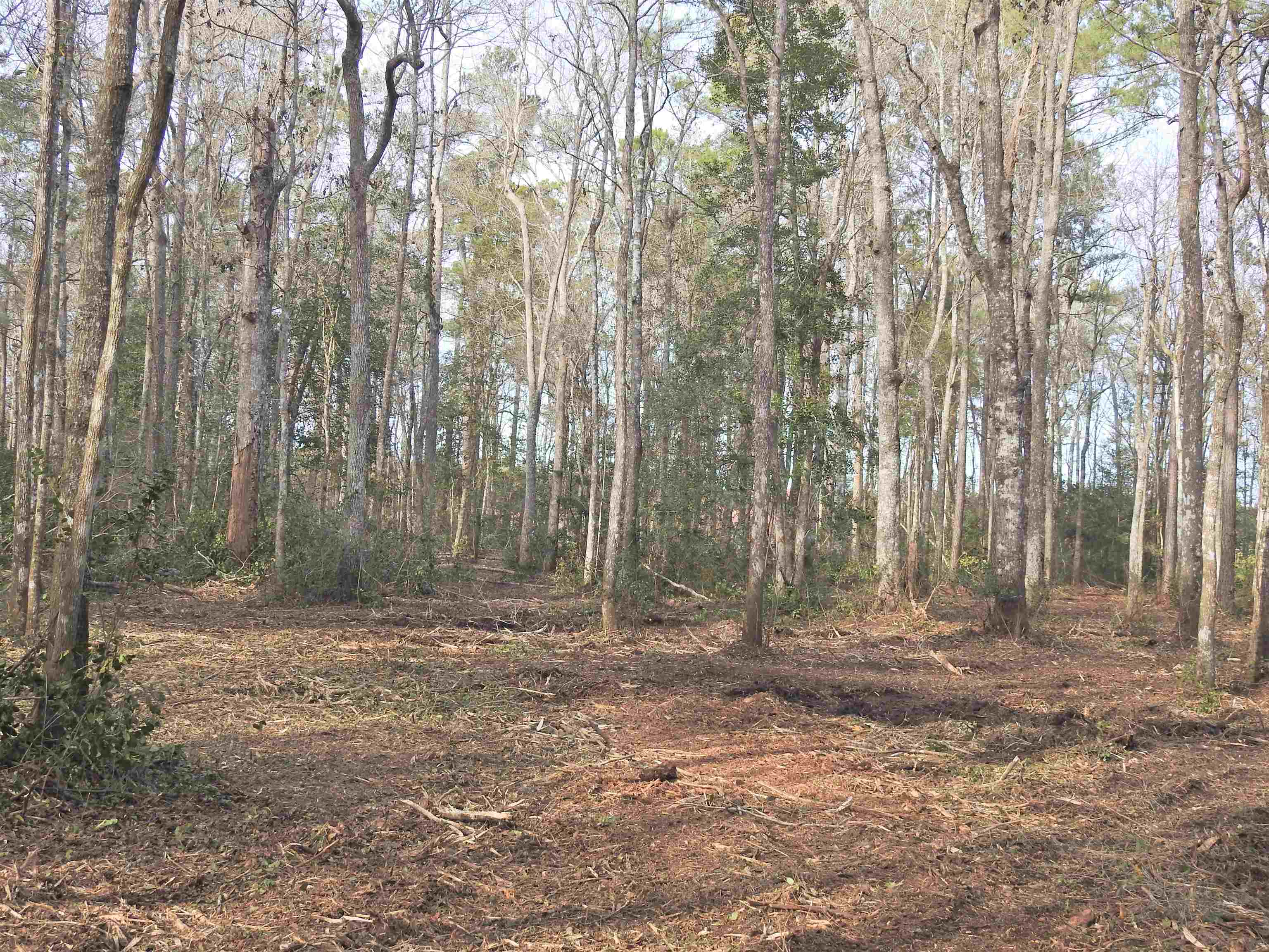 301 Bella Rd. Property Photo 16