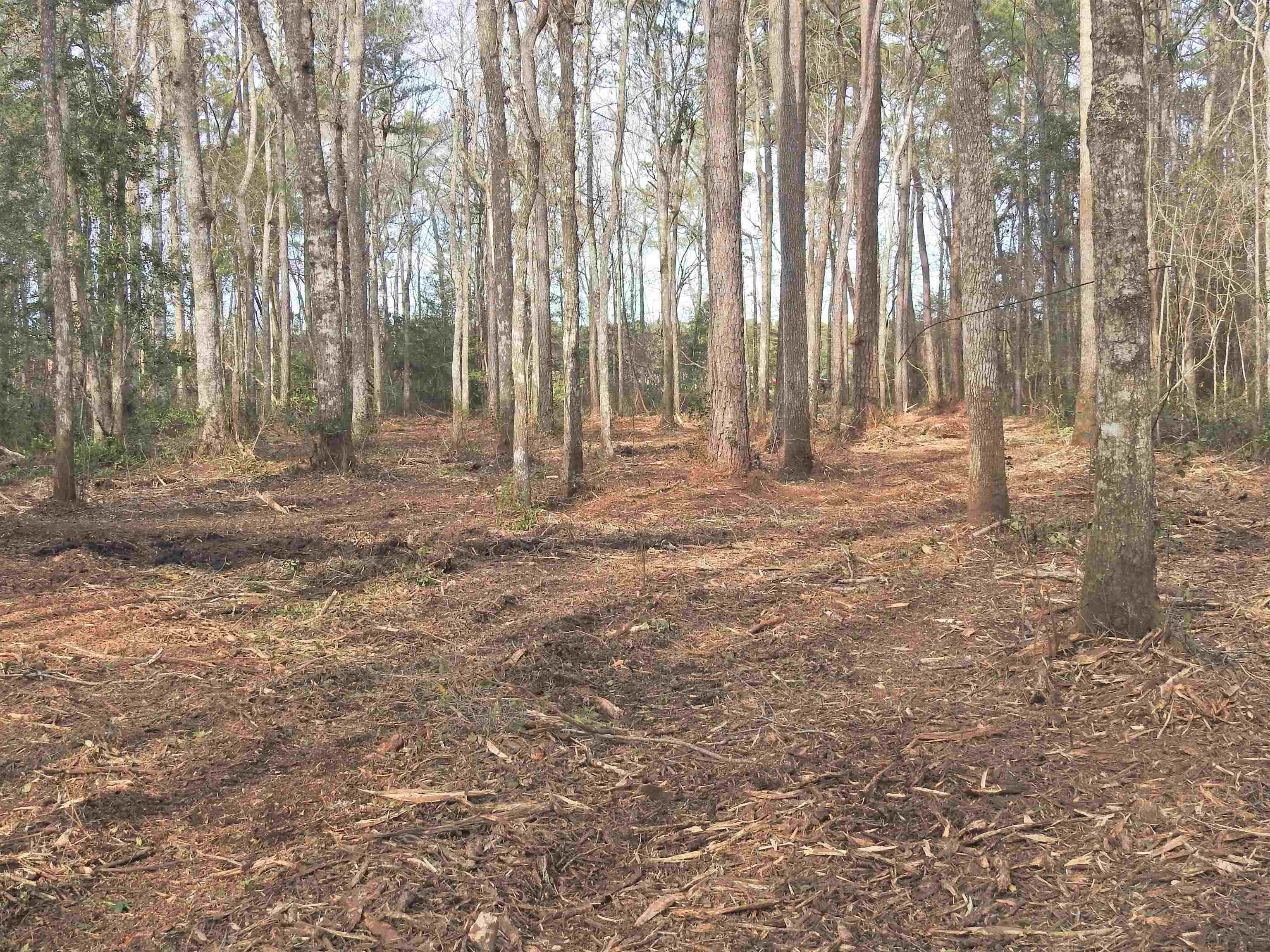 301 Bella Rd. Property Photo 18