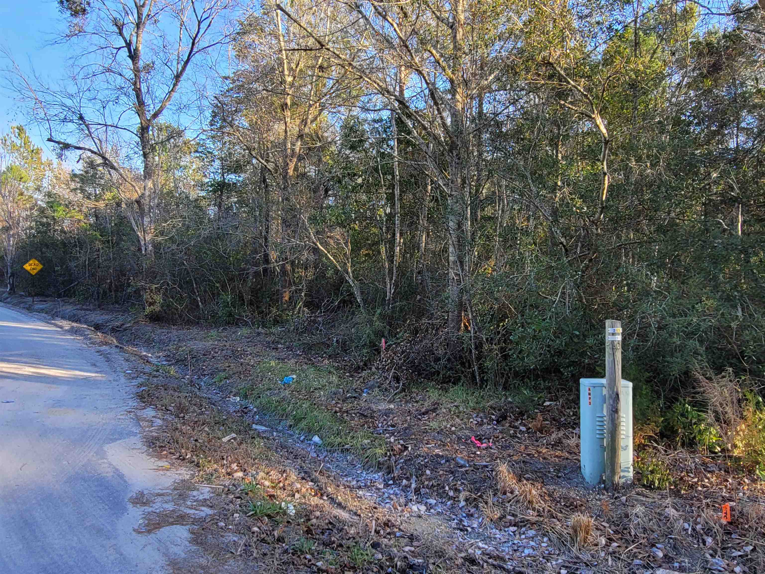 Tbd 2 Auburn Dr. Property Photo 8