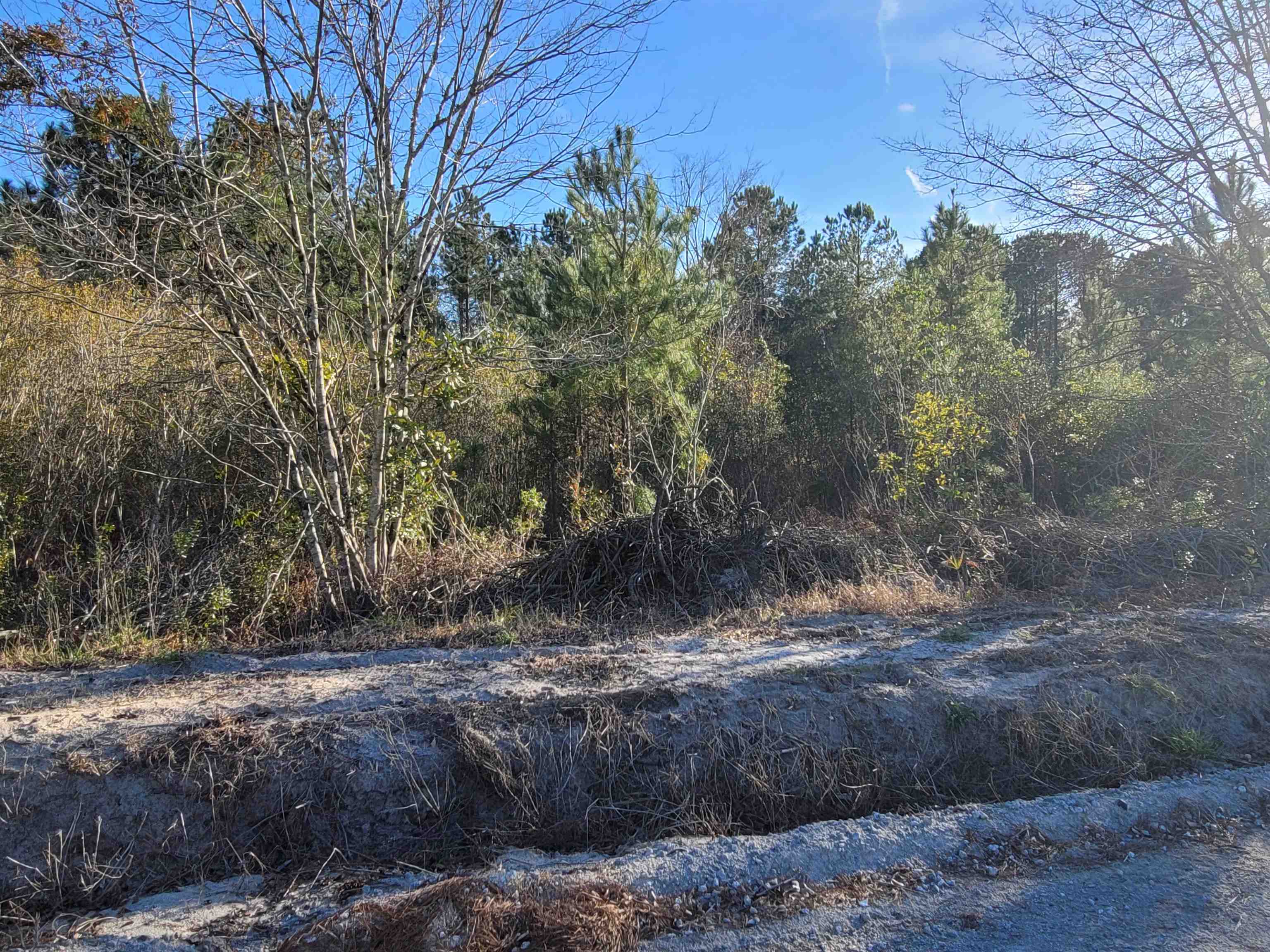 Tbd Log Cabin Rd. Property Photo 5