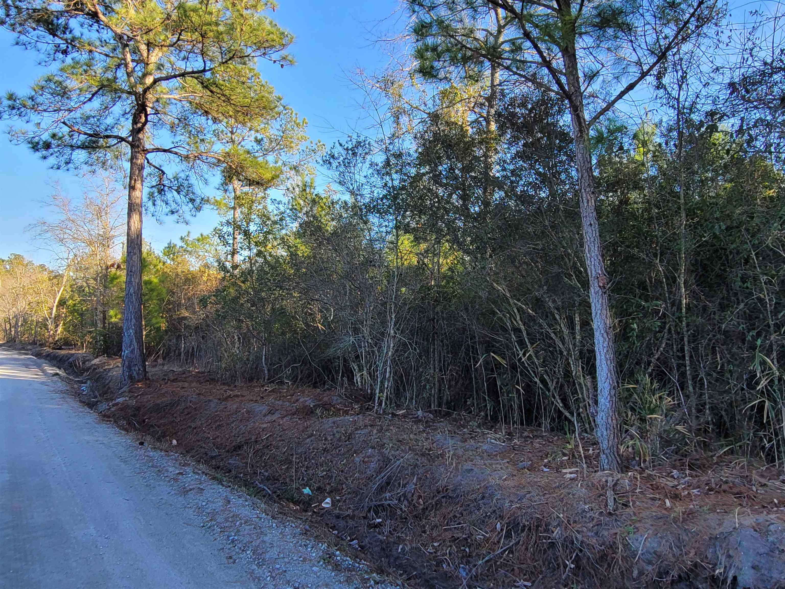 Tbd Log Cabin Rd. Property Photo 6