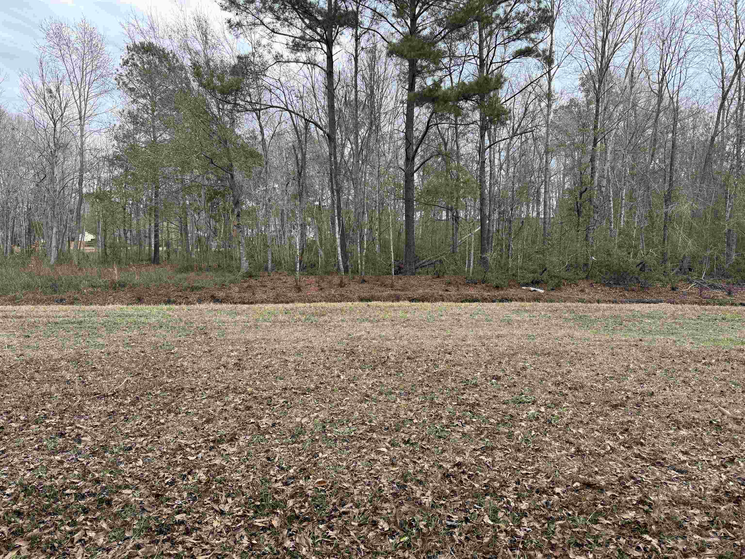 191 Carlisle Way Property Photo 48