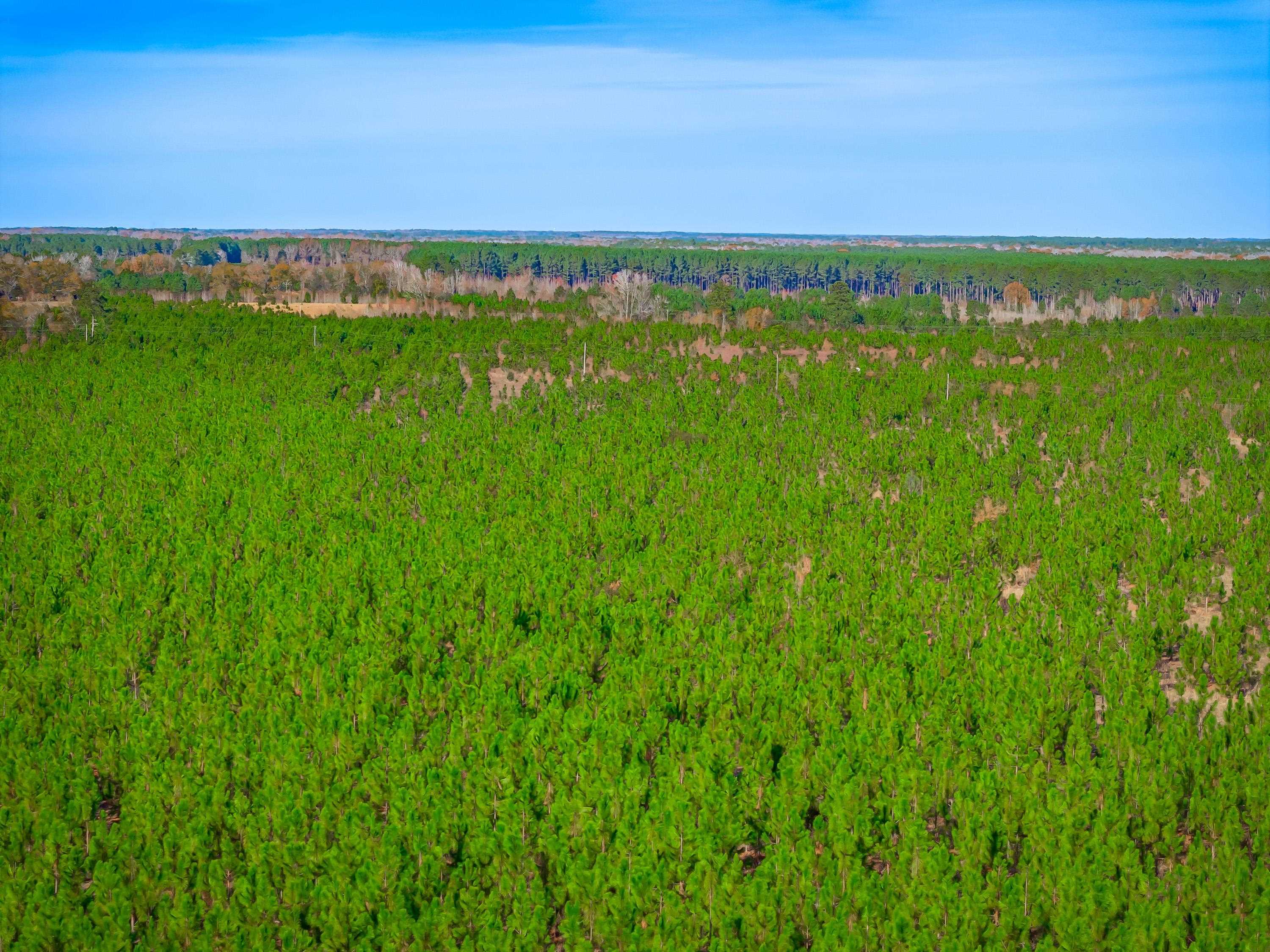 0 Mckays Bridge Rd. Property Photo 36