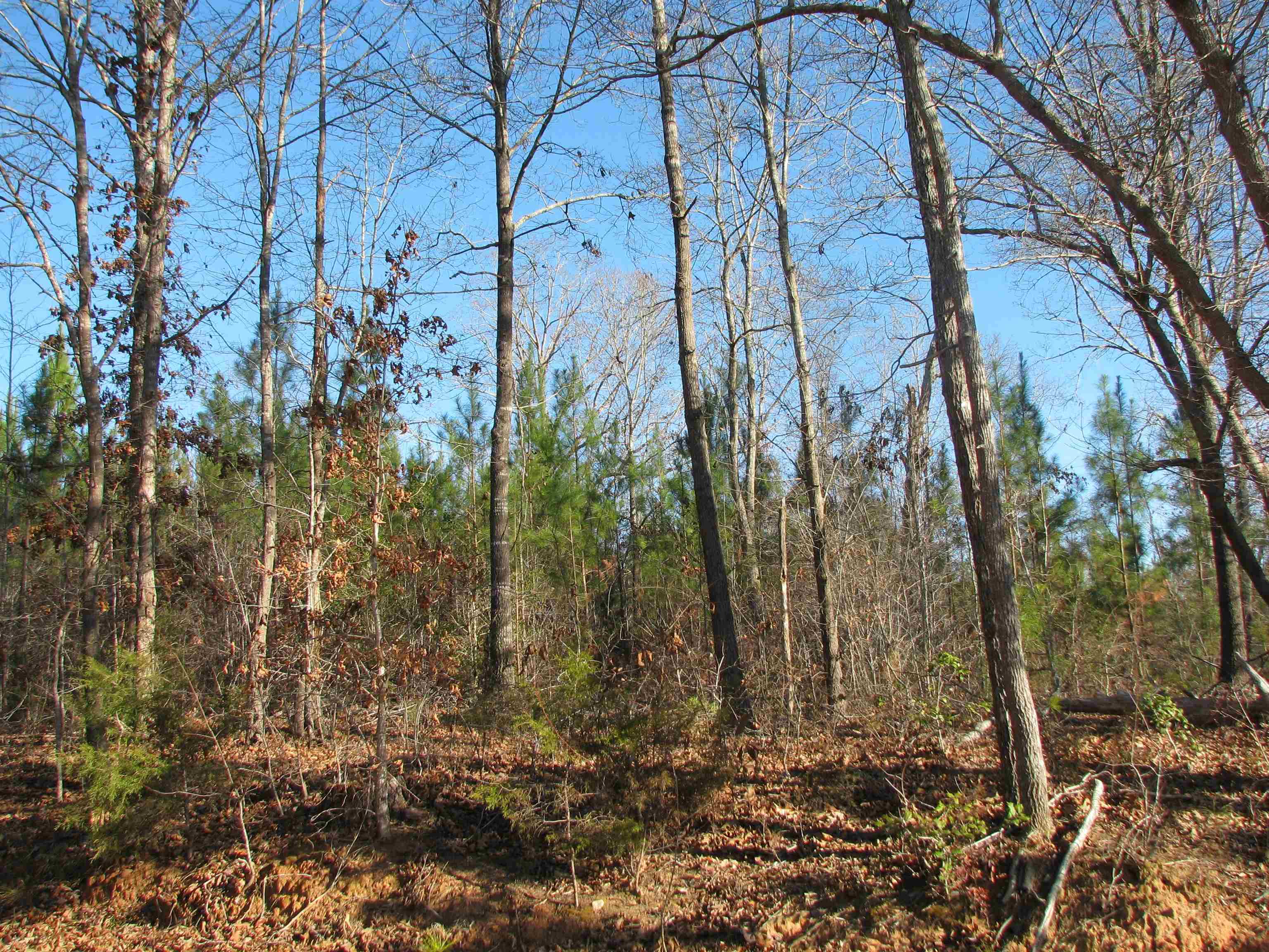 0 Buckhead Rd. Property Photo 15