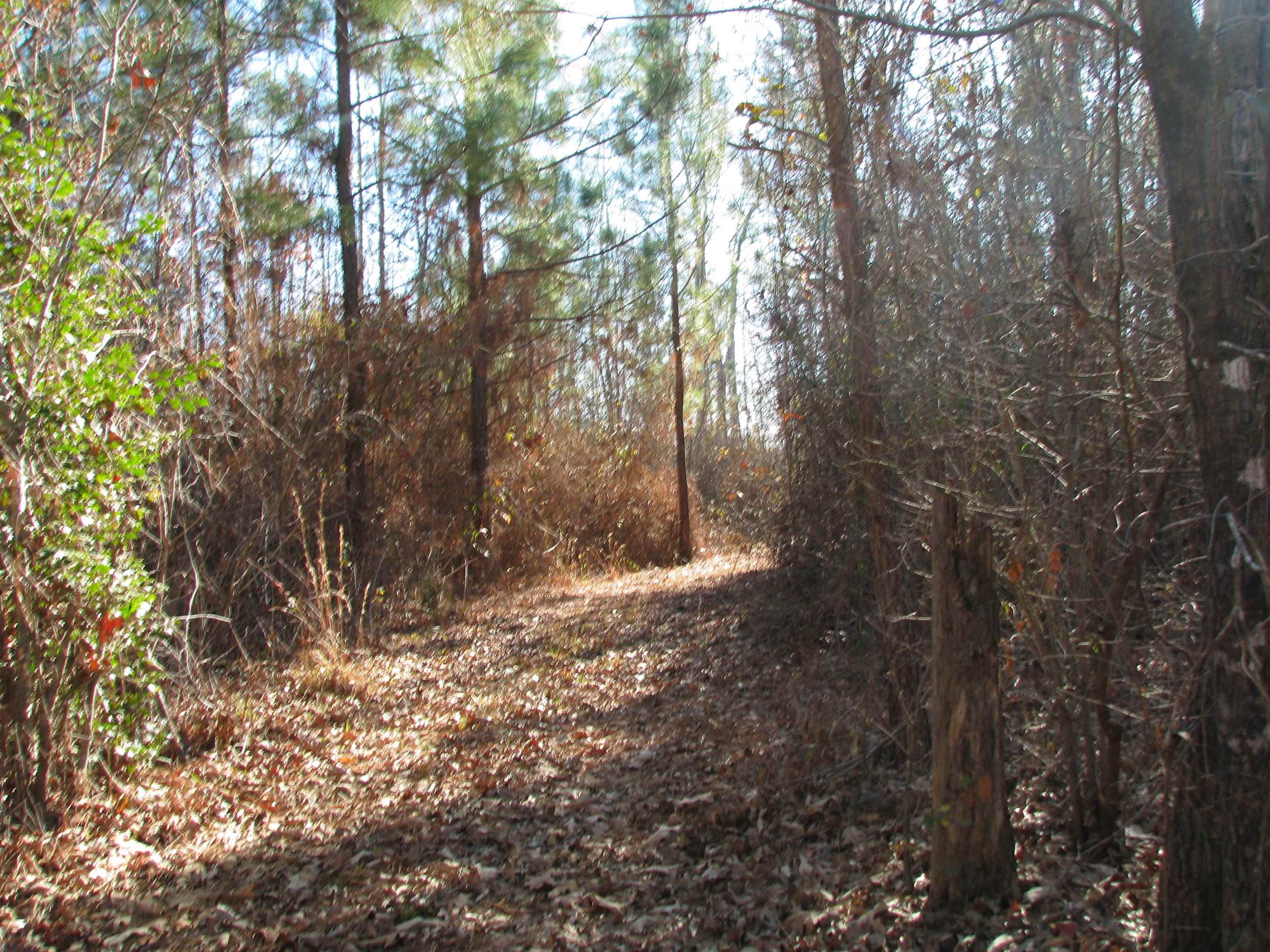 0 Buckhead Rd. Property Photo 17