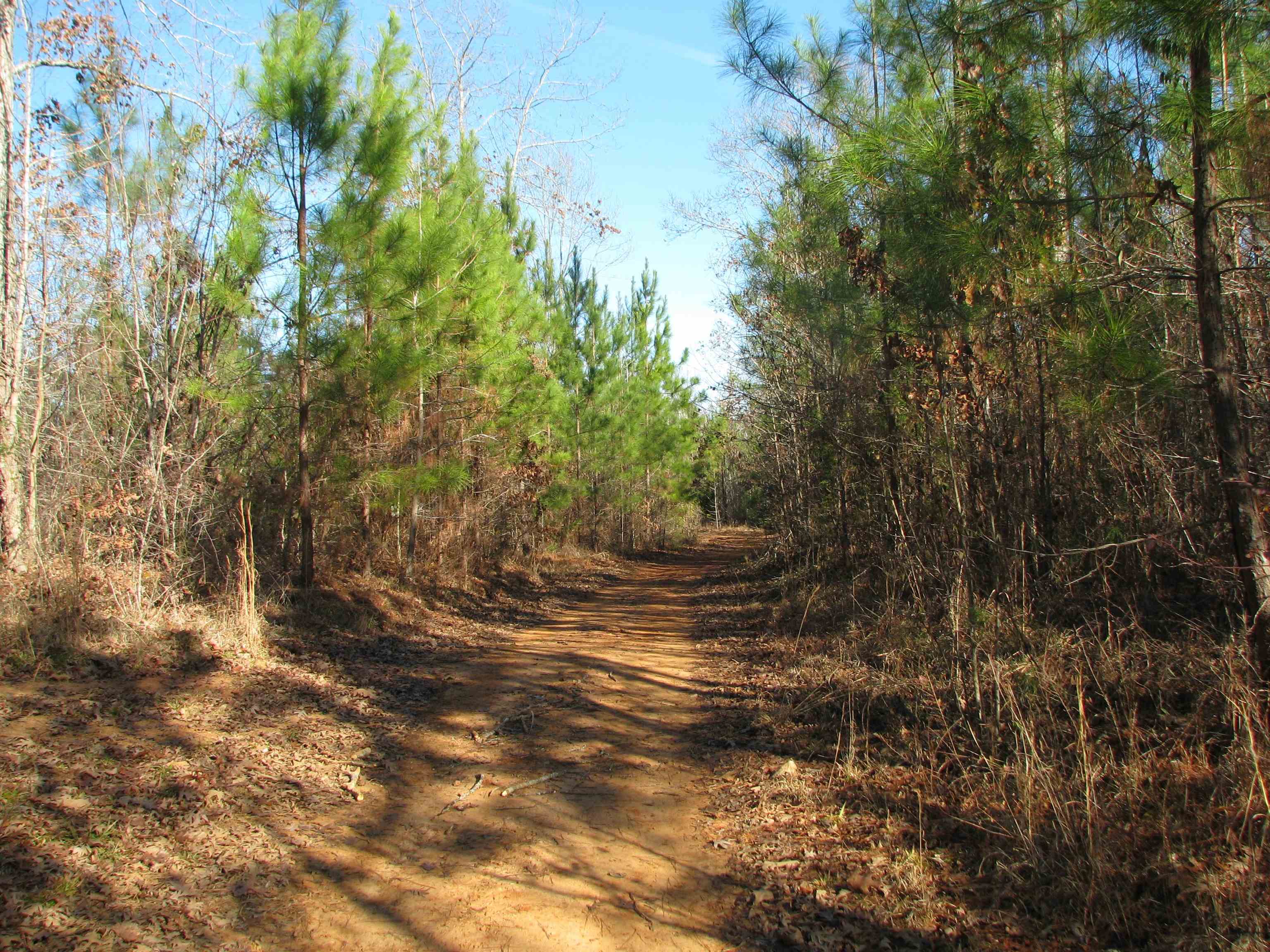 0 Buckhead Rd. Property Photo 18