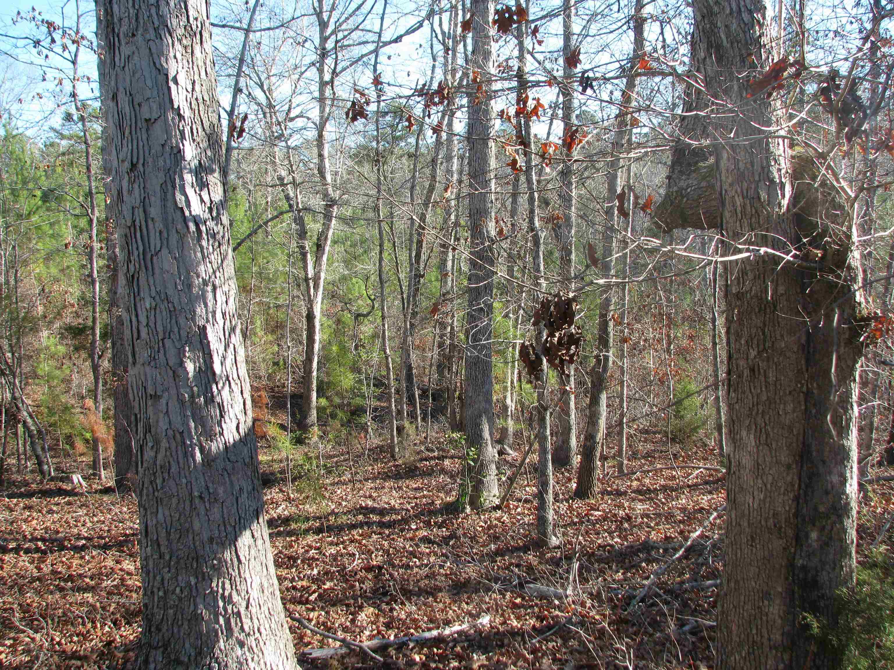 0 Buckhead Rd. Property Photo 20