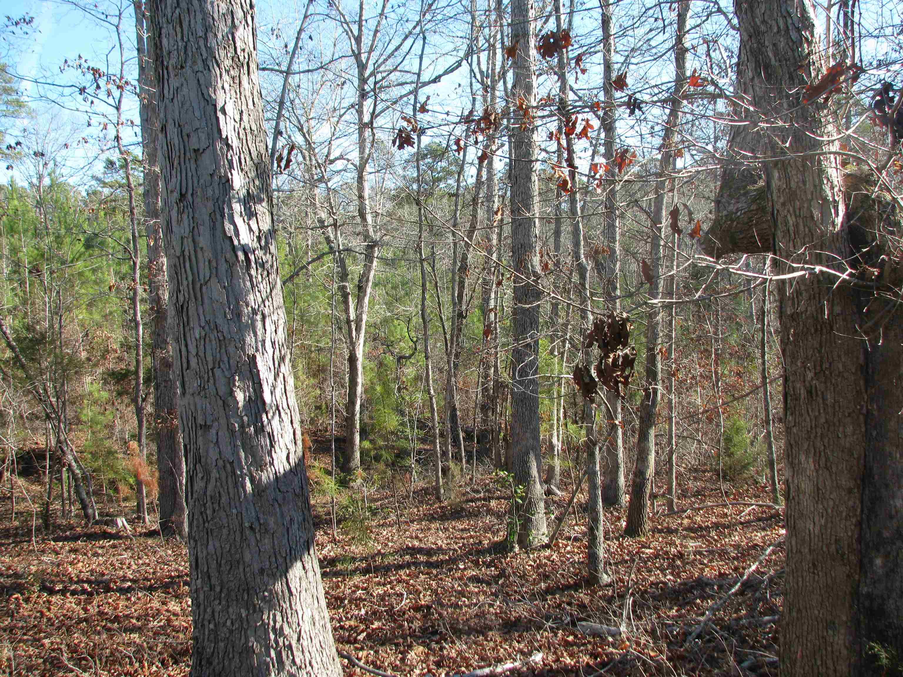 0 Buckhead Rd. Property Photo 21