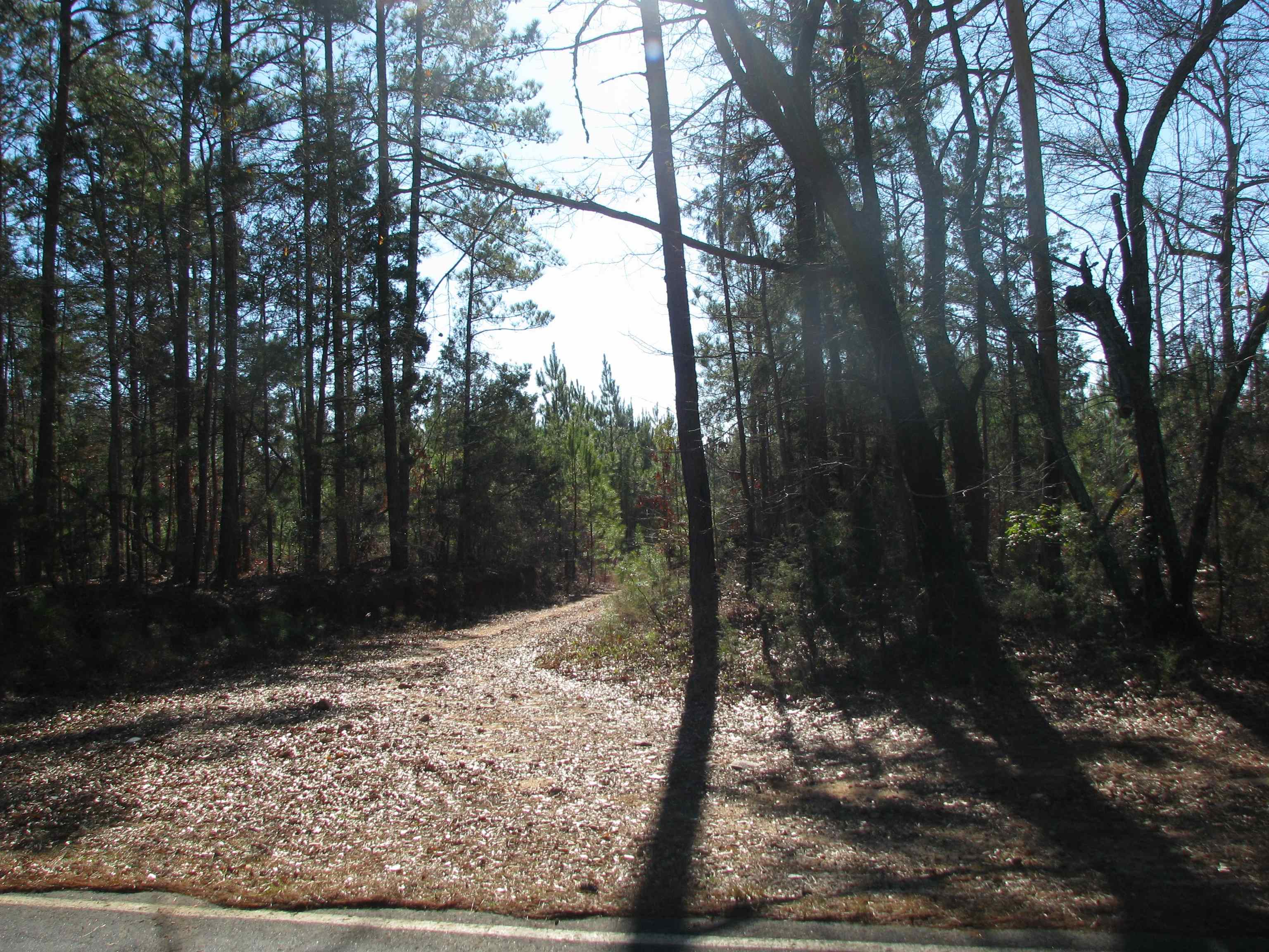 0 Buckhead Rd. Property Photo 23