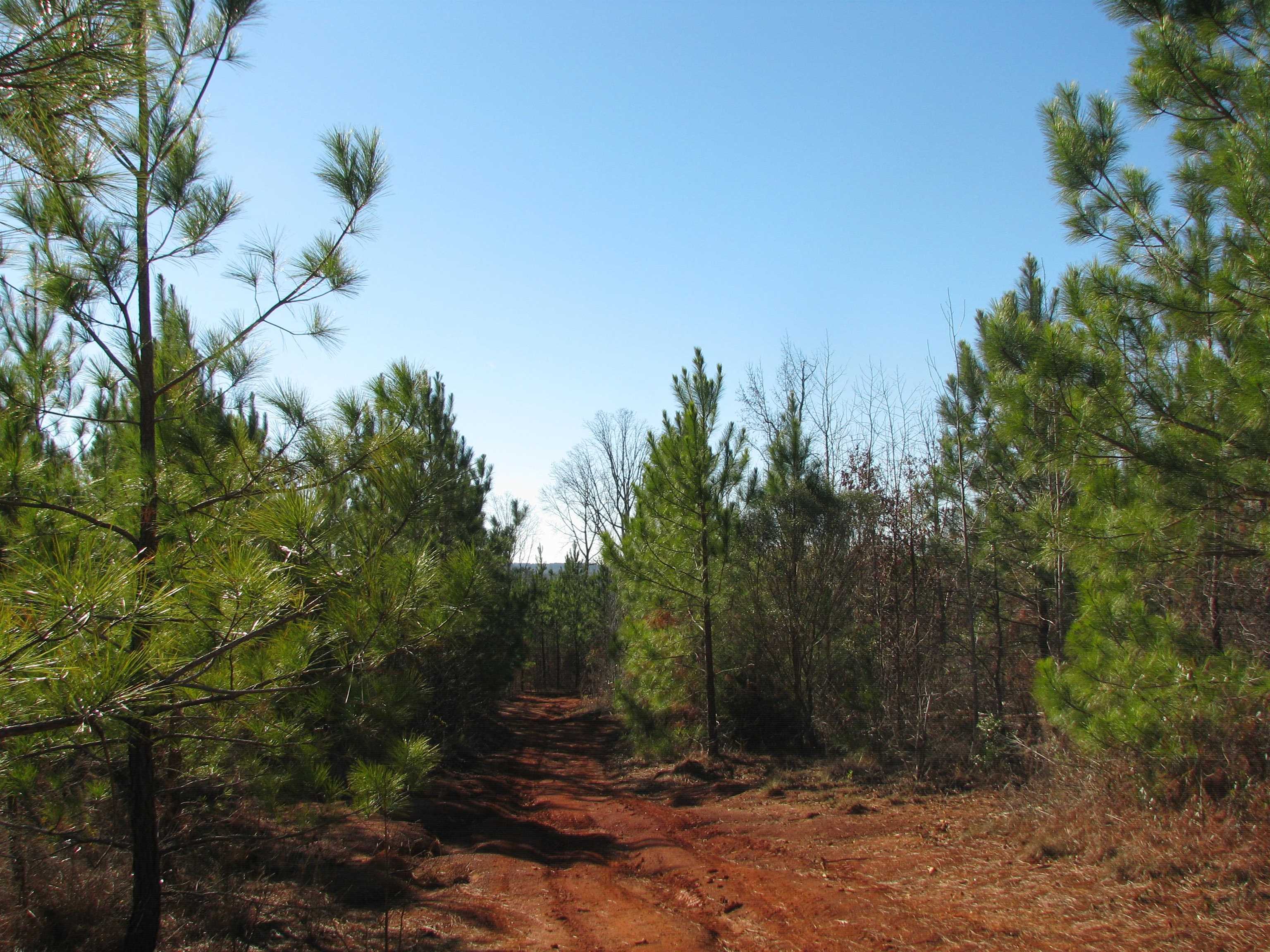 0 Buckhead Rd. Property Photo 27