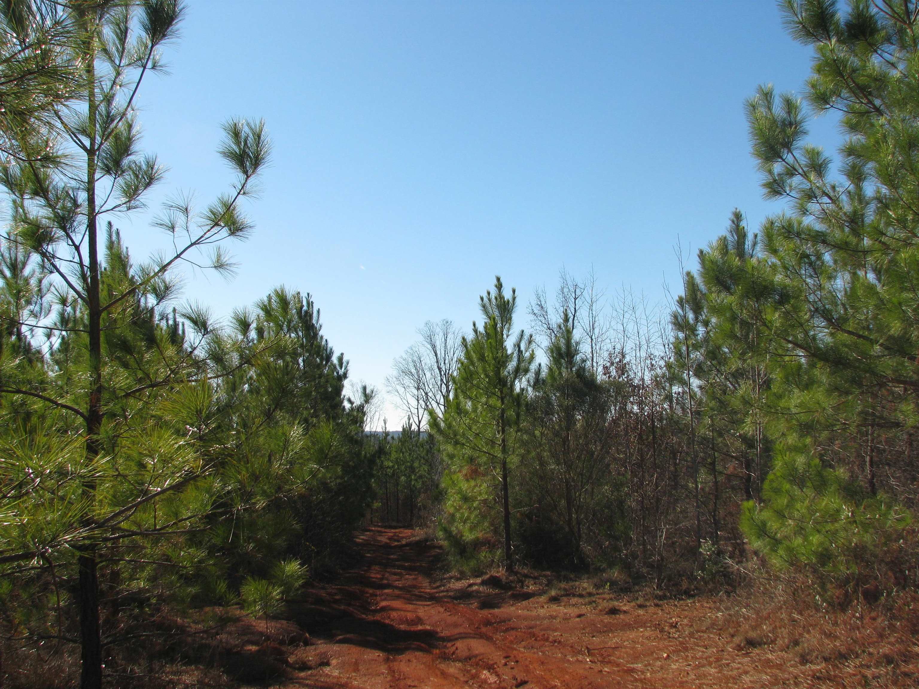 0 Buckhead Rd. Property Photo 28