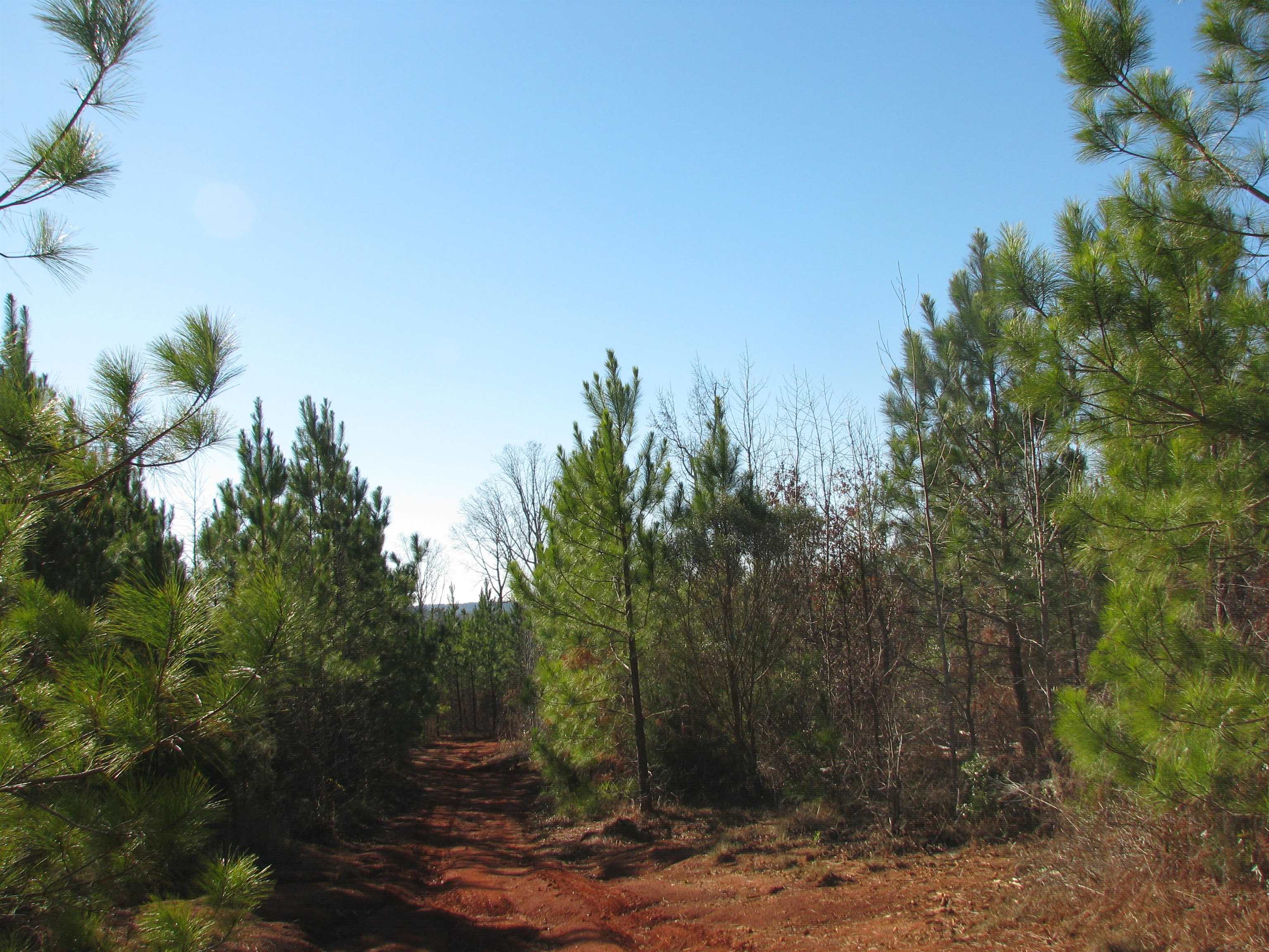 0 Buckhead Rd. Property Photo 29
