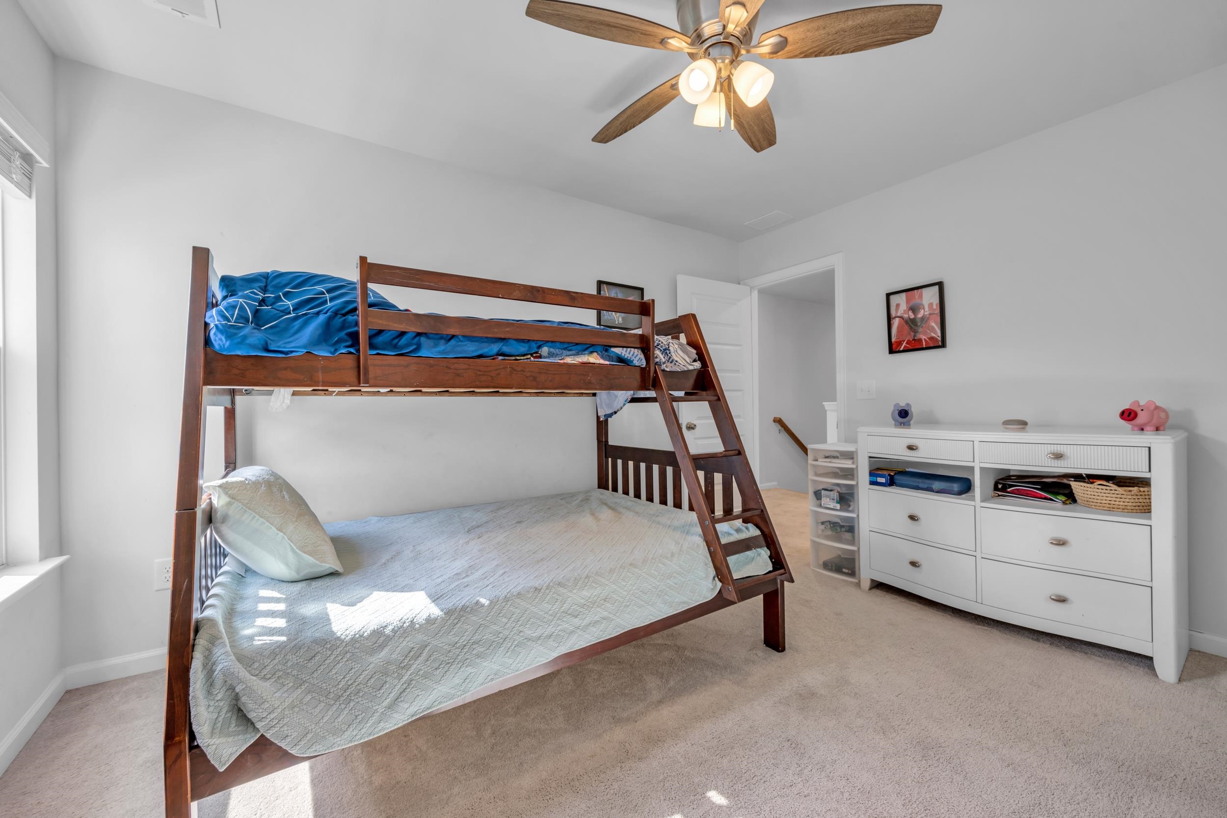5545 Whitebark Dr. Property Photo 18