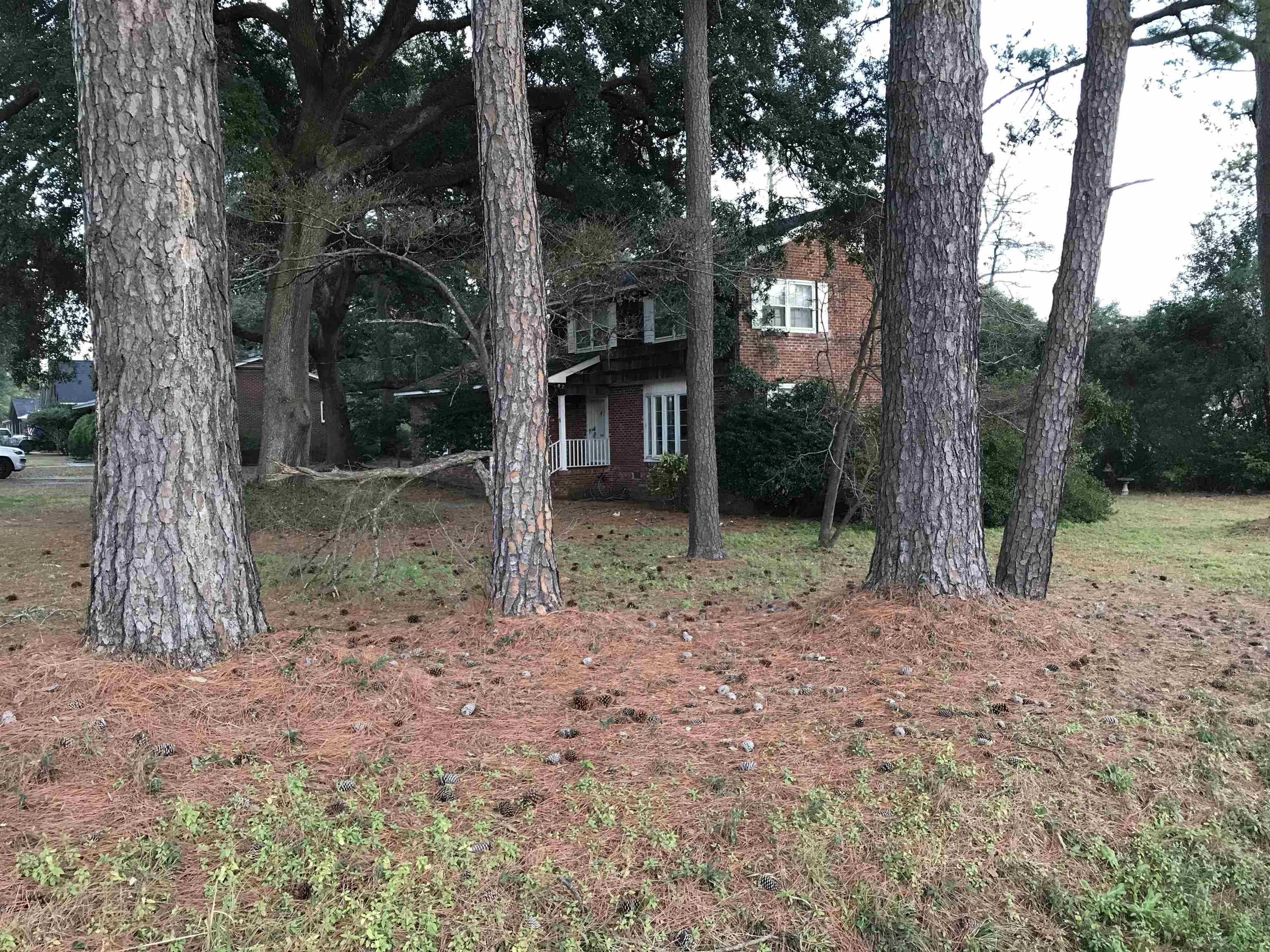 1201 Landgrave St. Property Photo 6