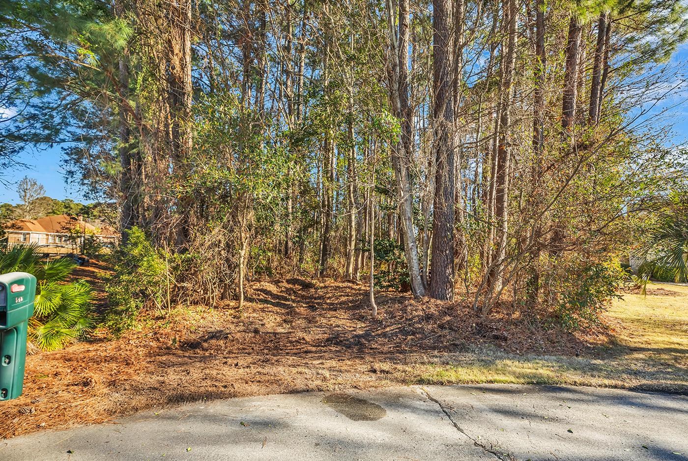 513 Reedy River Rd. Property Photo 1